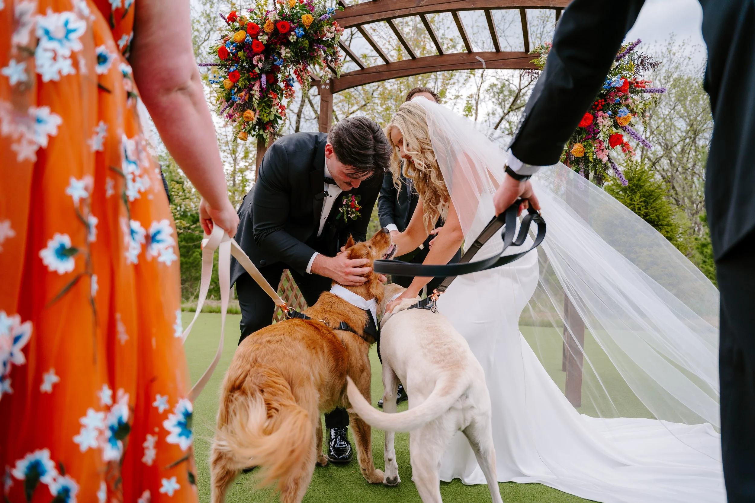 Bride and Groom being greeted by their dogs of honor at the ceremony during wedding at The Barn at Timber Pointe in Mundelein IL