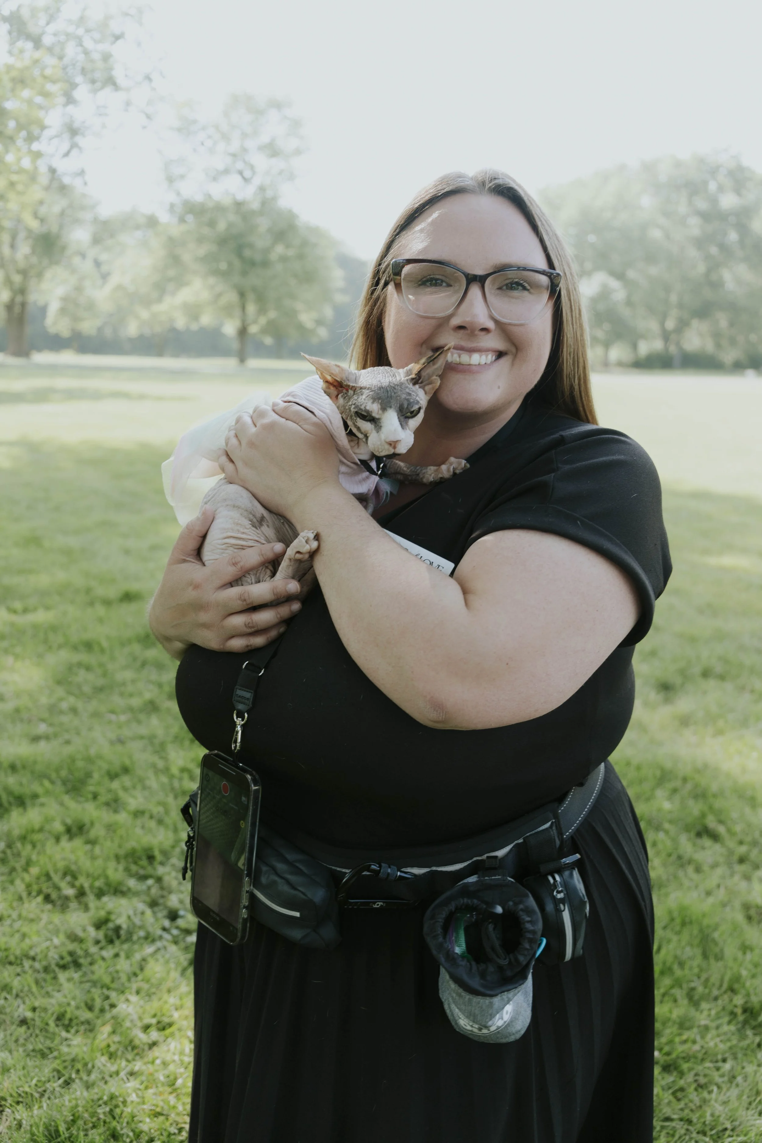 Hairless cat participating in chicago wedding being care for by Wags of Love. 