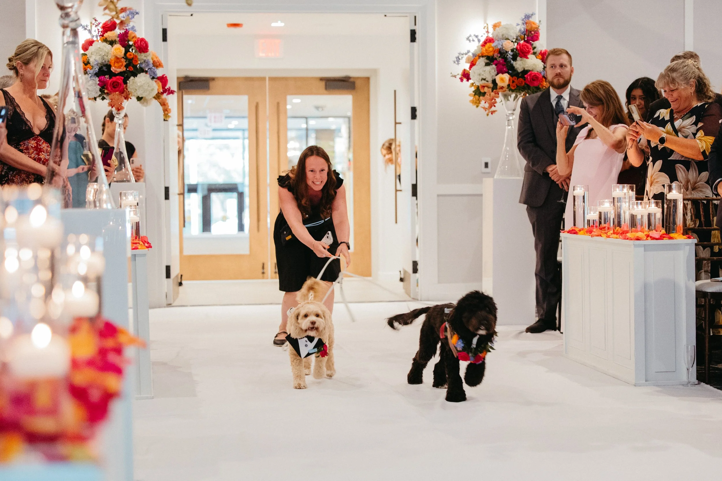 Professional pet wedding attendant Wags of Love walking dog down aisle at ceremony.