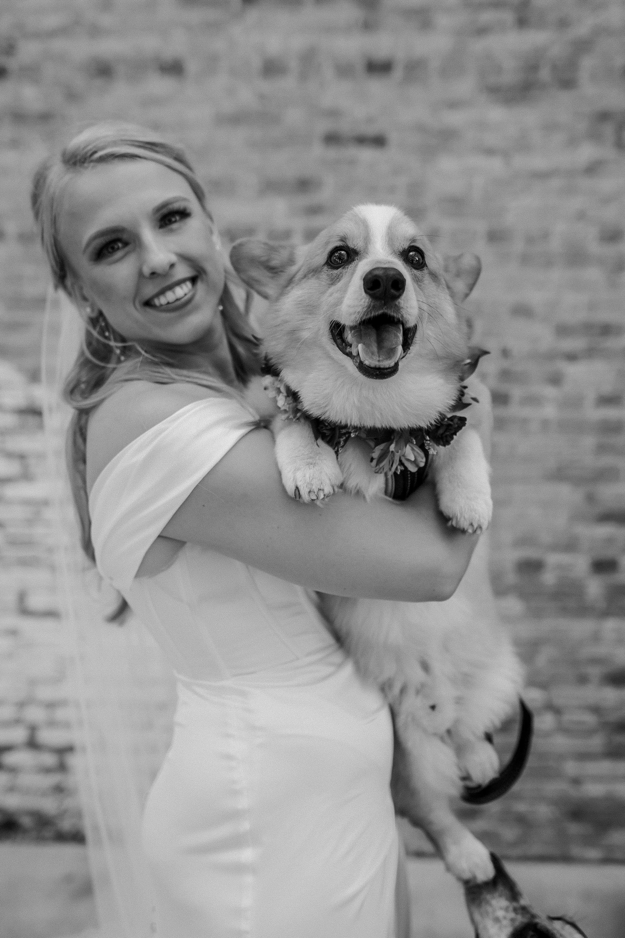Bride smiling and holding dog during wedding for perfect wedding photo at Mercantile Hall in Burlington Wisconsin.