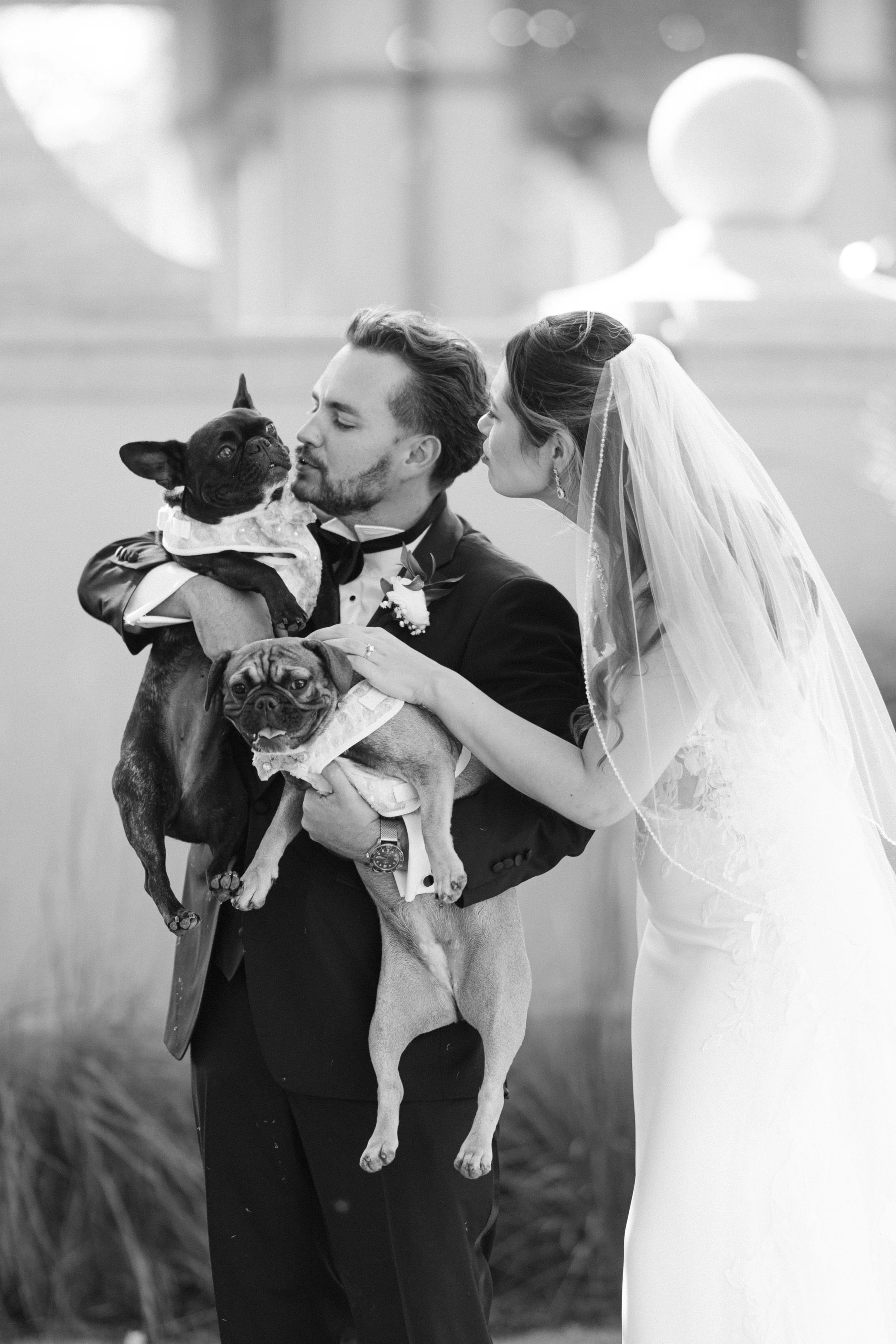Professional dog attendant helping bride and groom with their dog at The Amour House in Lake Forest Illinois.