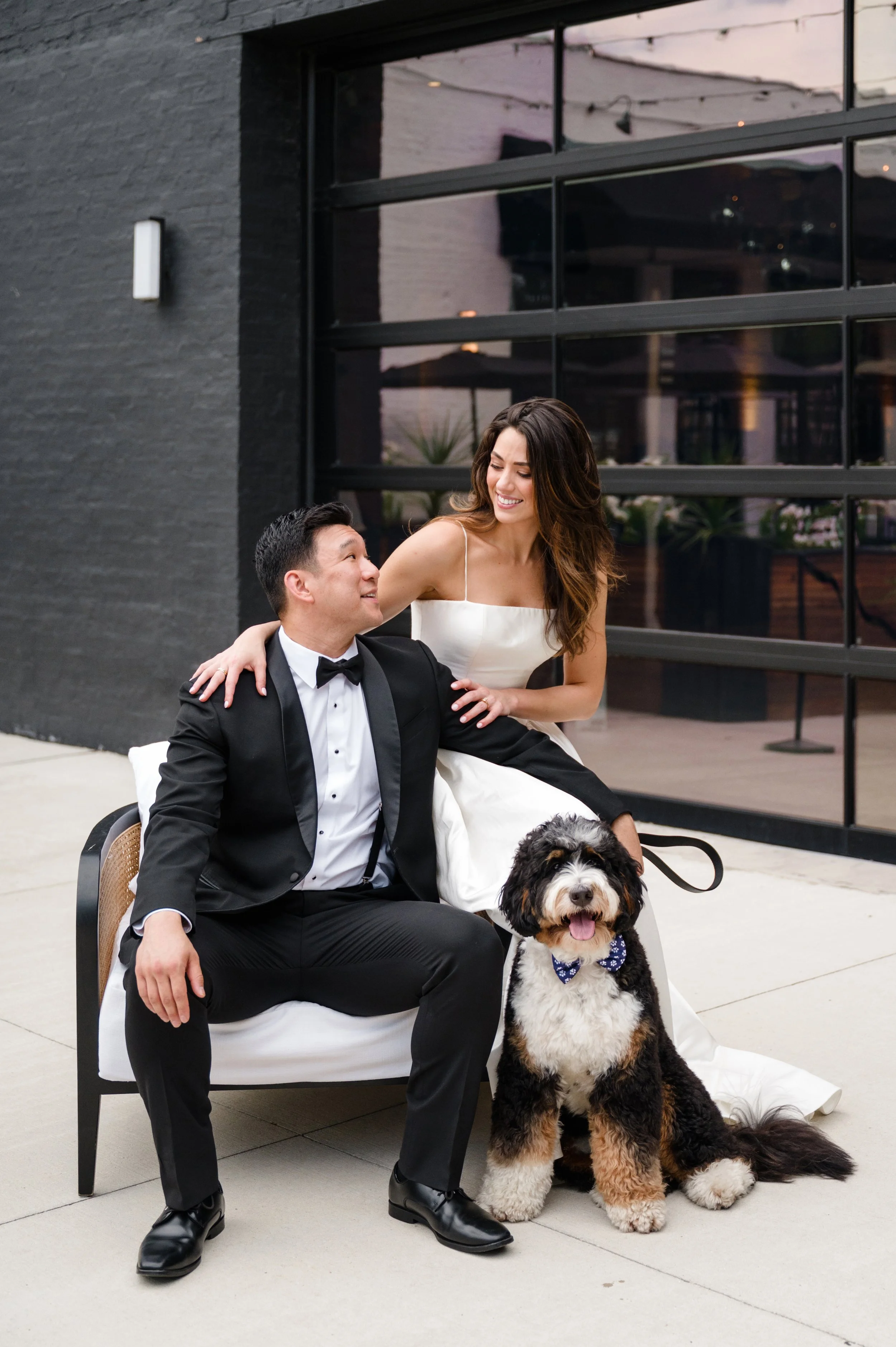 Professional Chicago pet wedding handler assisting Bride and Groom with dog for wedding photography.