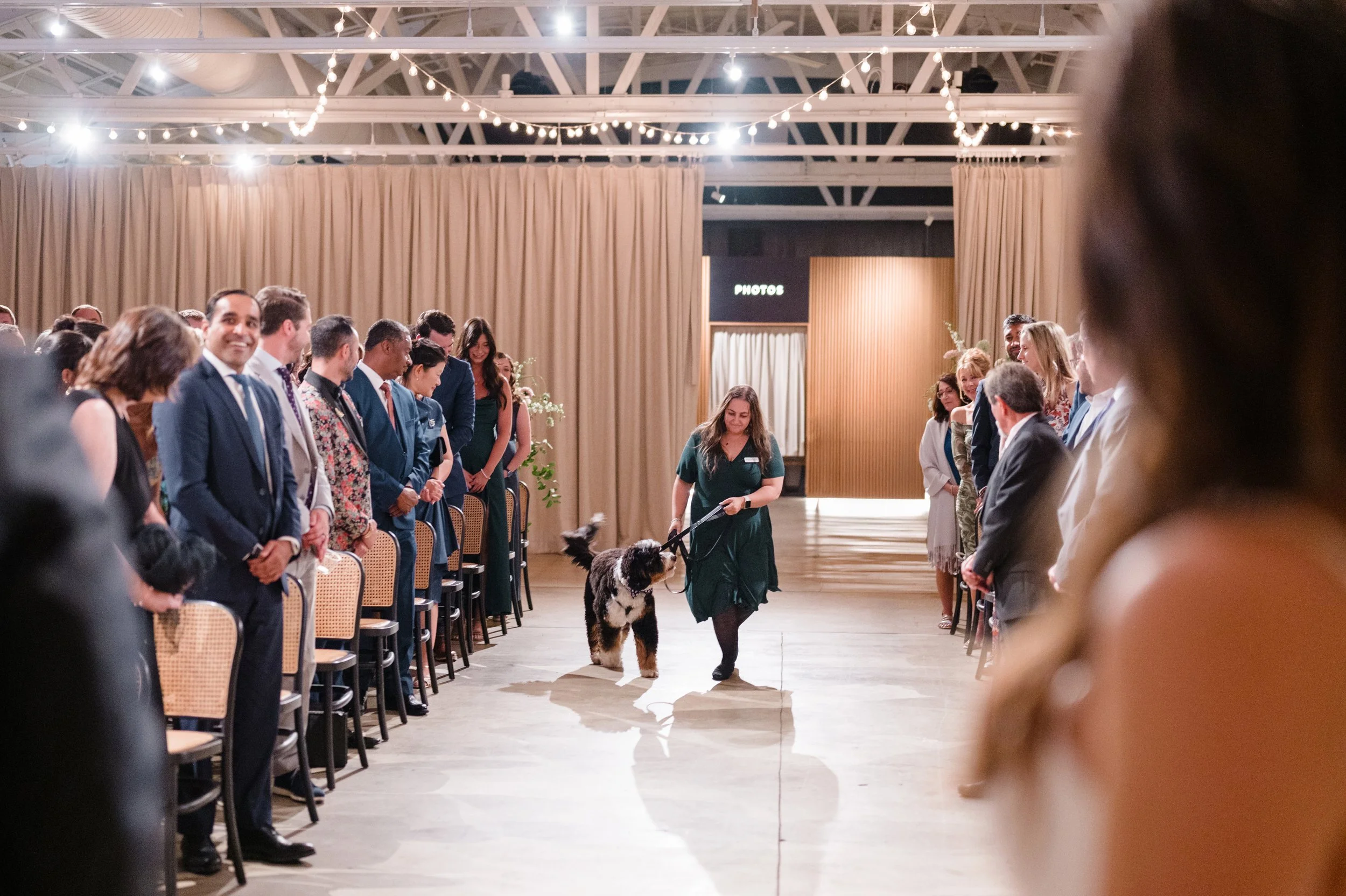 Professional pet wedding attendant Wags of Love walking dog down aisle at ceremony.