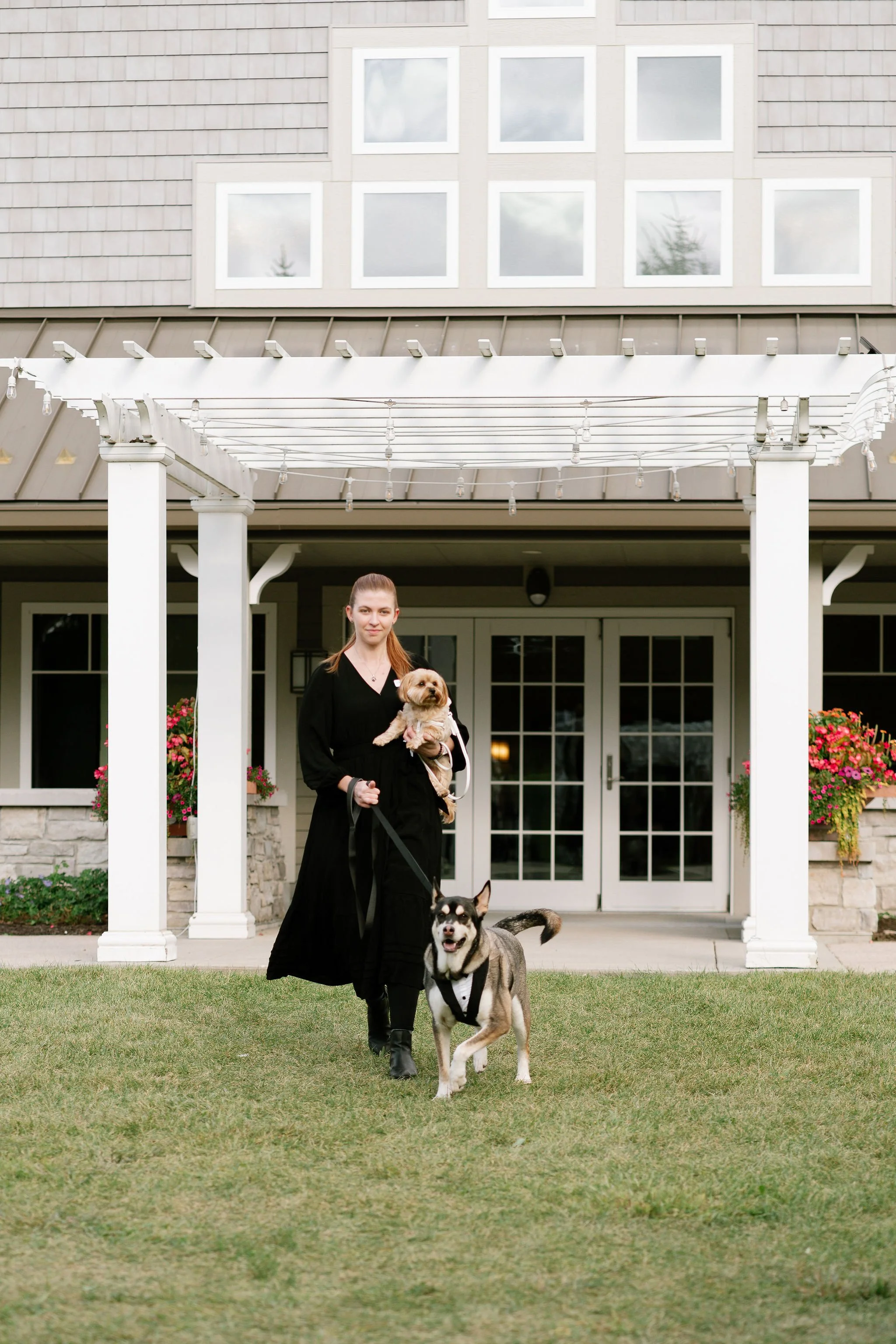 Experienced dog wedding handler walking two dogs down the aisle during wedding ceremony. 