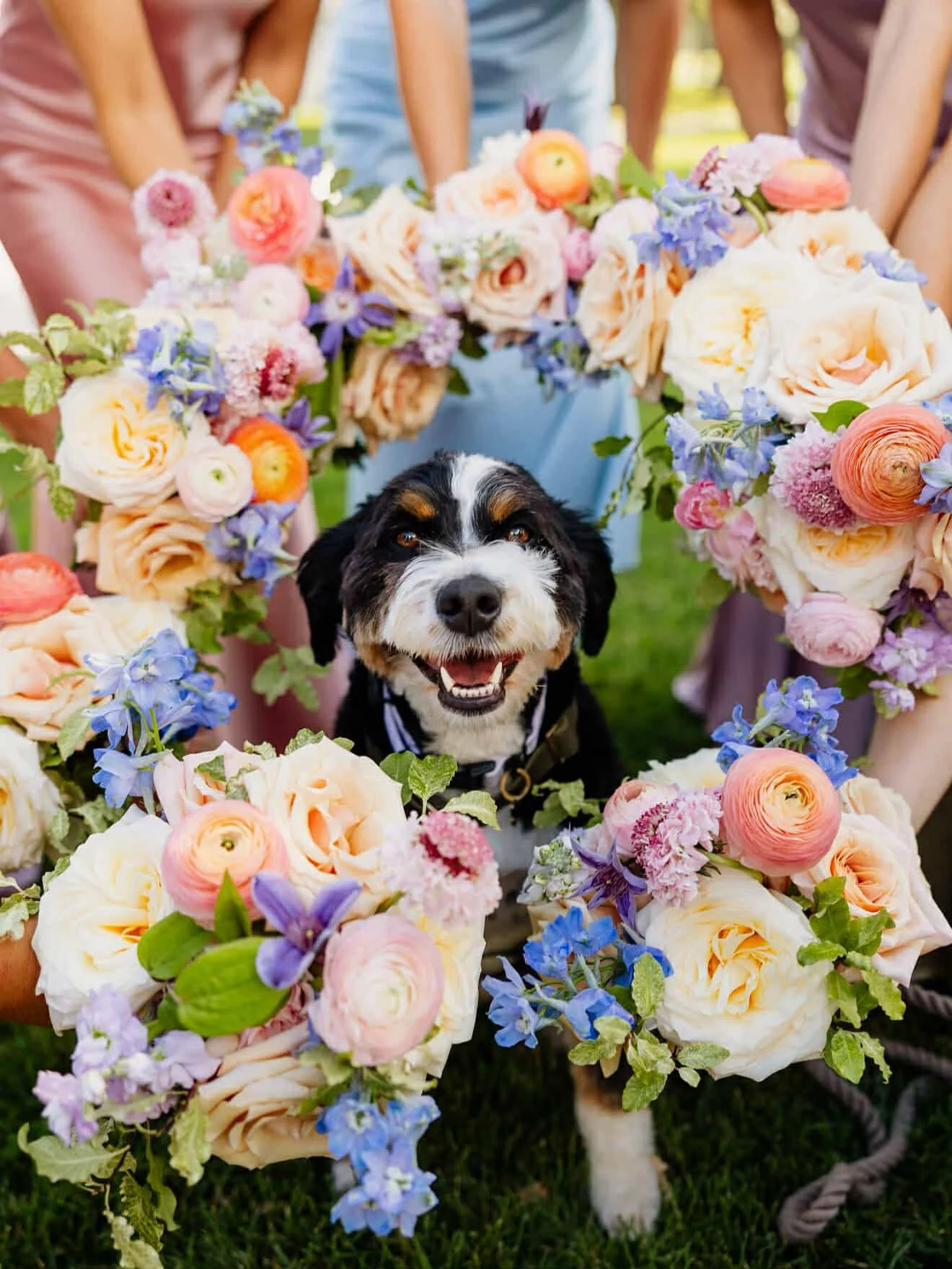 Luxury Chicago wedding detail featuring dog and bouquet.