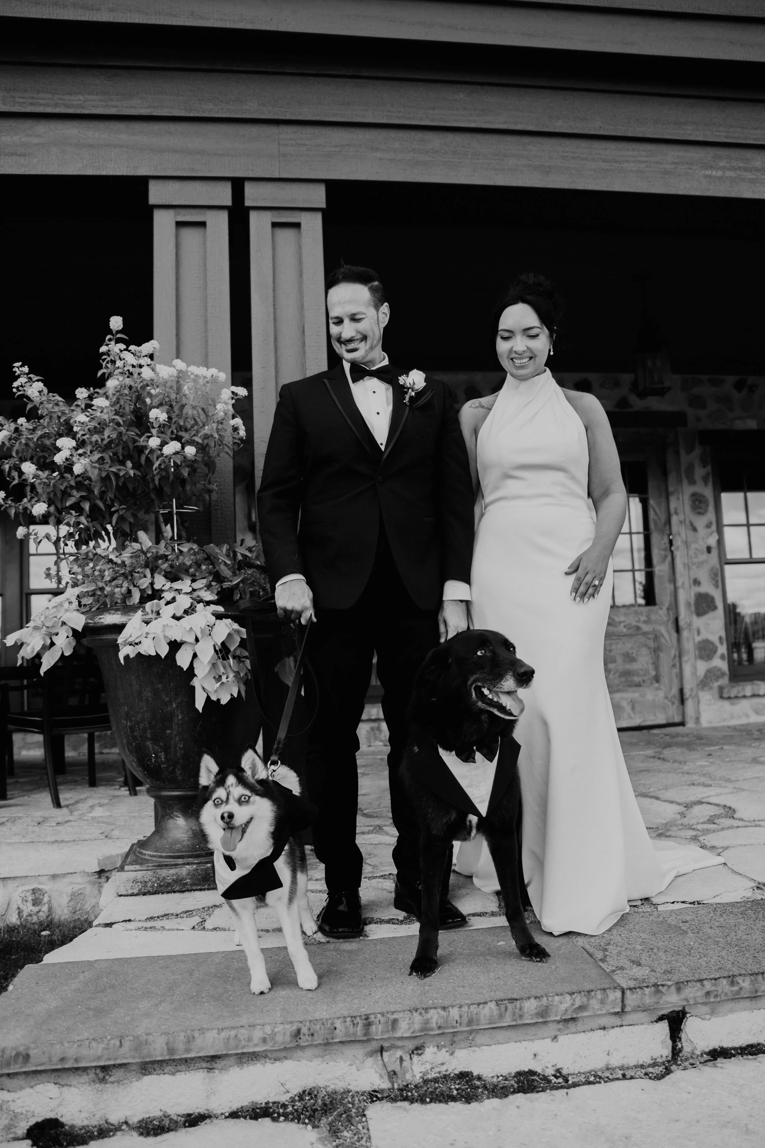 Bride and Groom smiling with their two dogs in front of the Beloit Club wedding venue in Illinois.
