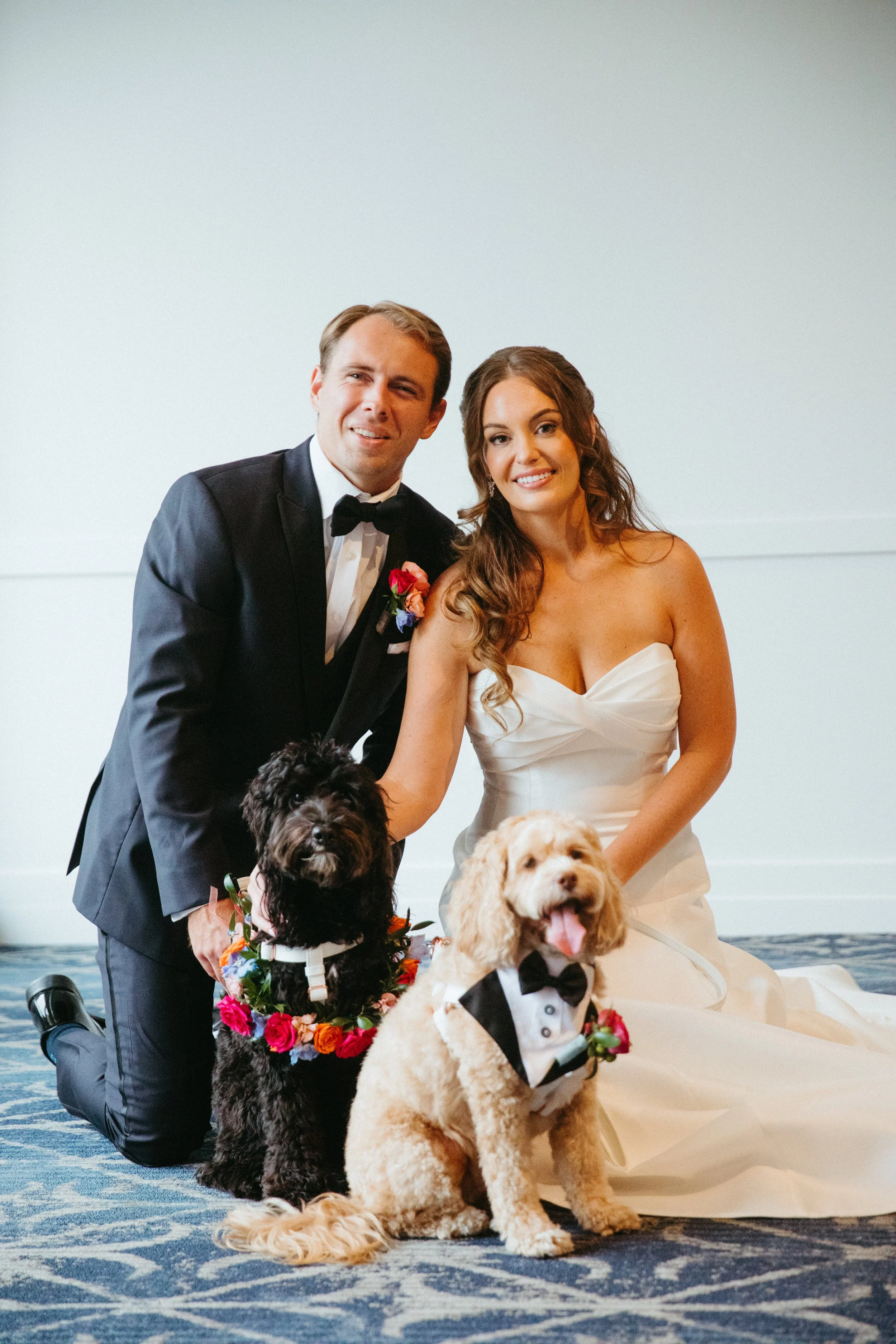 Dog with floral collar and dog with wedding tuxedo posing with bride and groom before ceremony.