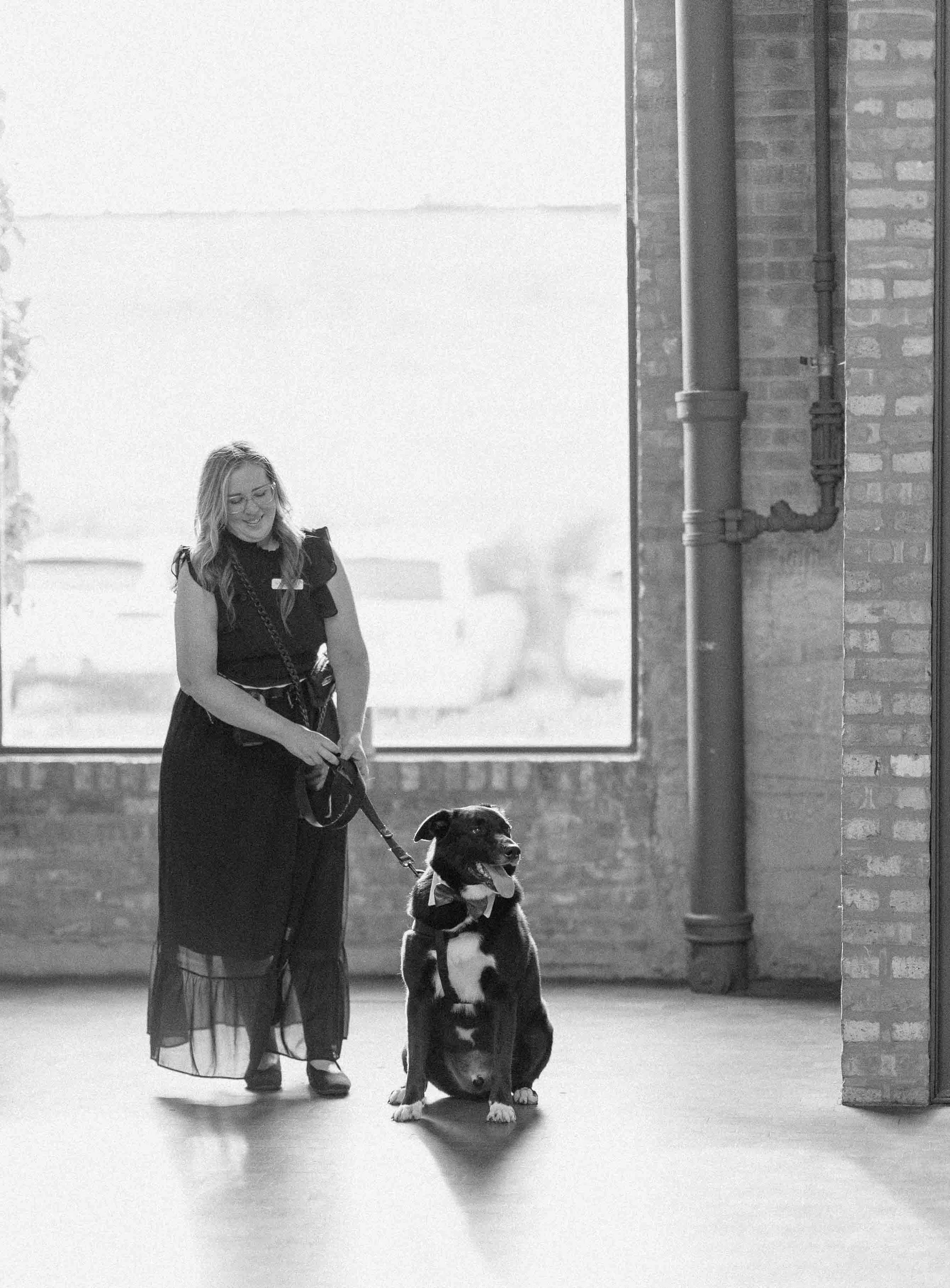 Professional dog attendant helping dog interact with guests at Chicago wedding at Rockwell on the River. 