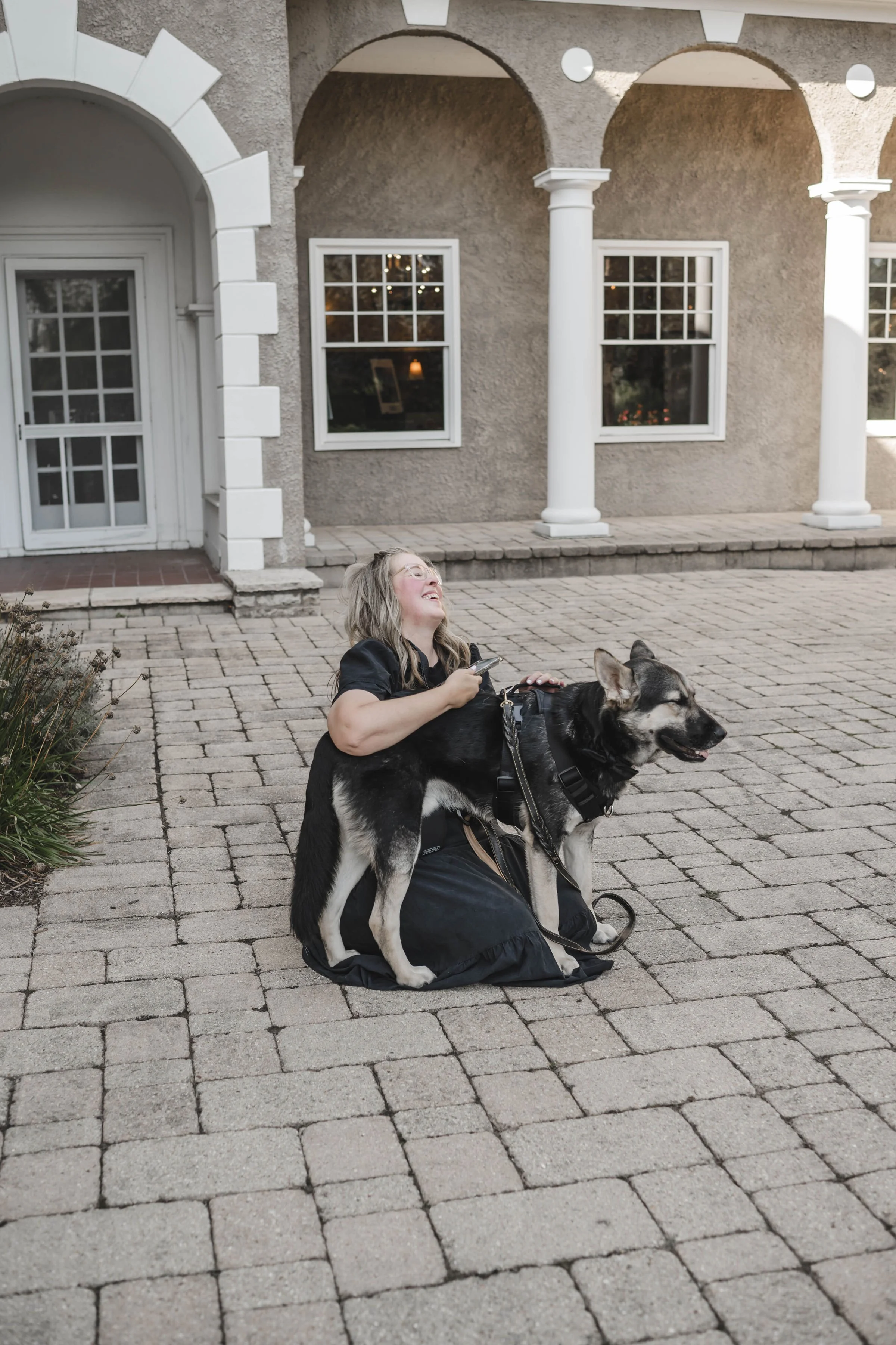 Dog happily playing with wedding guests while attended by Wags of Love team at Lehmann Mansion.