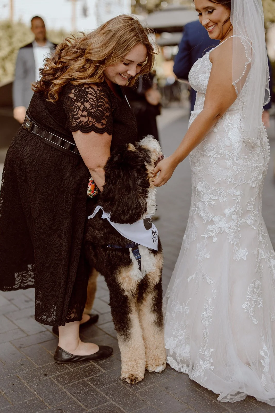 Wags of Love professional dog attendants caring for dog at weddings from Chicago to Milwaukee.