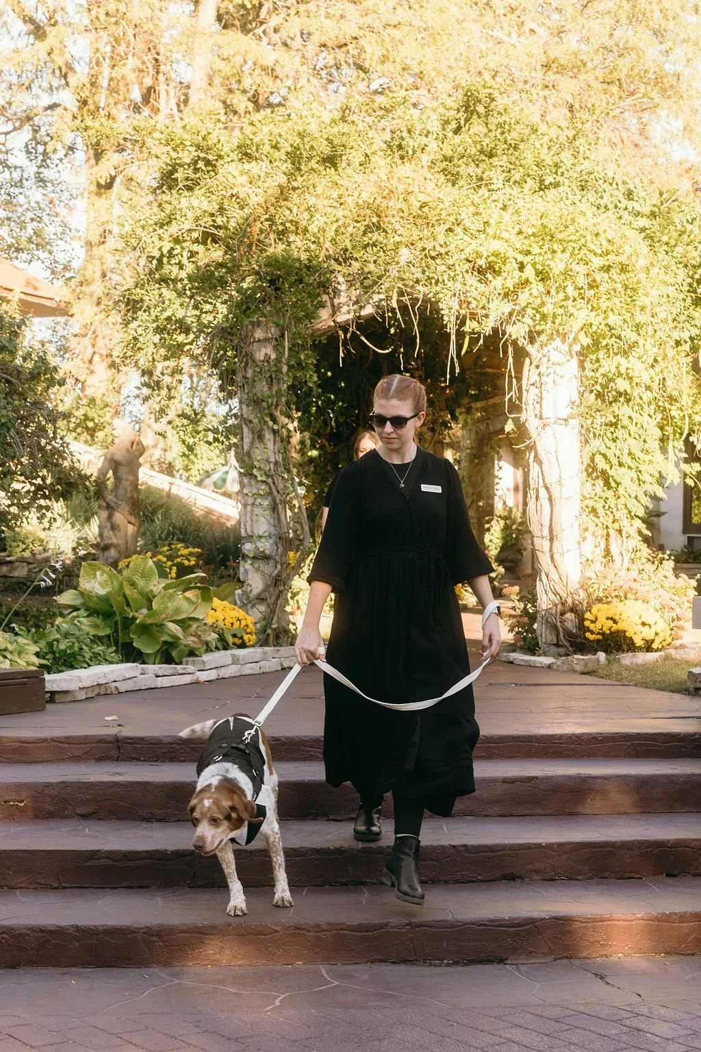 Wags of Love professional dog attendants with wedding dogs in Chicago.