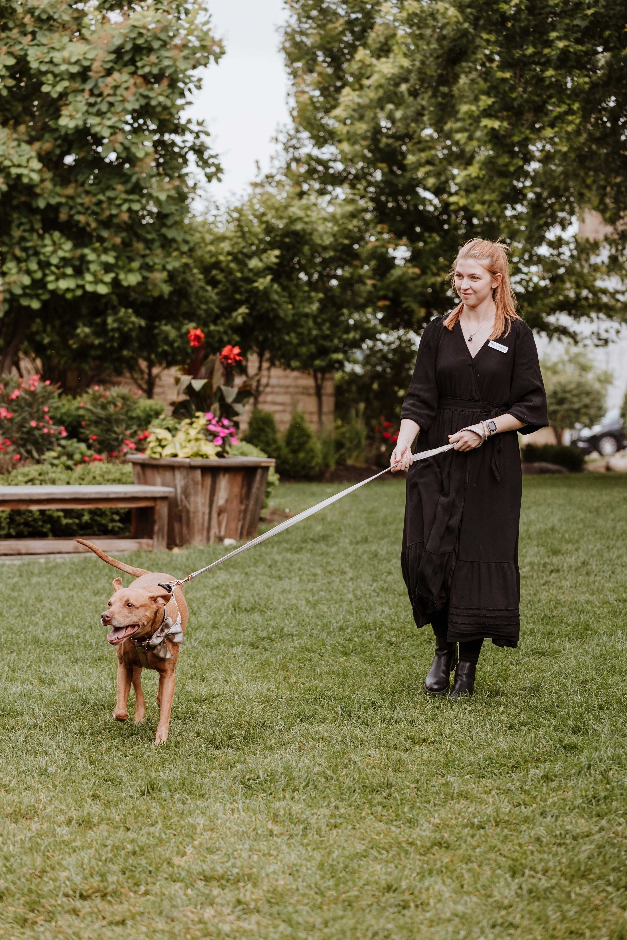 Professional pet wedding attendant Wags of Love walking dog down aisle at ceremony.