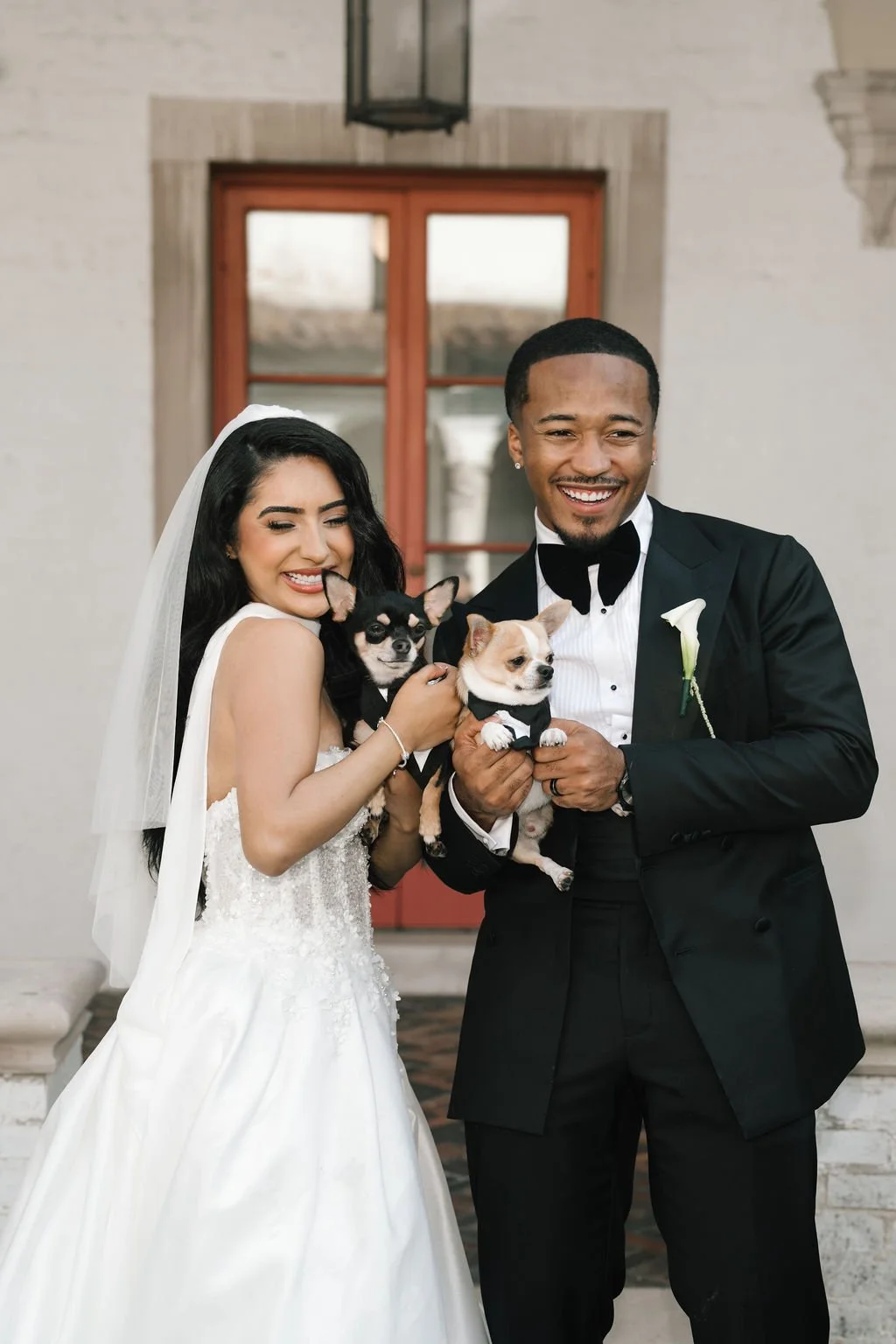Bride and groom posing with their two small dogs in tuxedos during wedding photography.