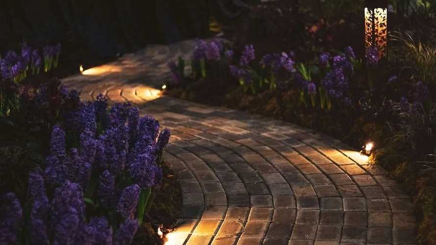 A winding brick pathway illuminated by small ground lights at night, with purple flowers along both sides.
