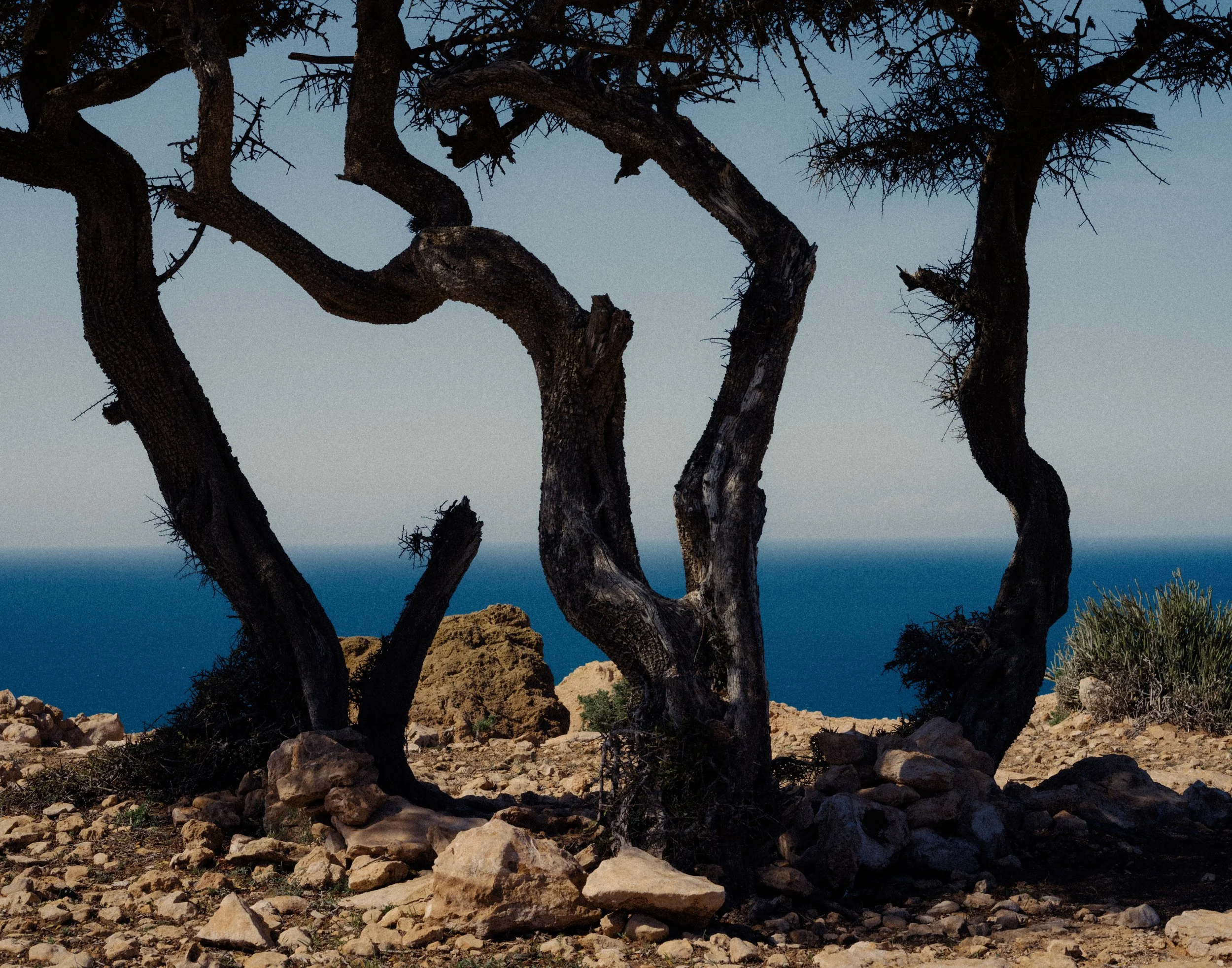 Carnet de bord: mon voyage au Maroc