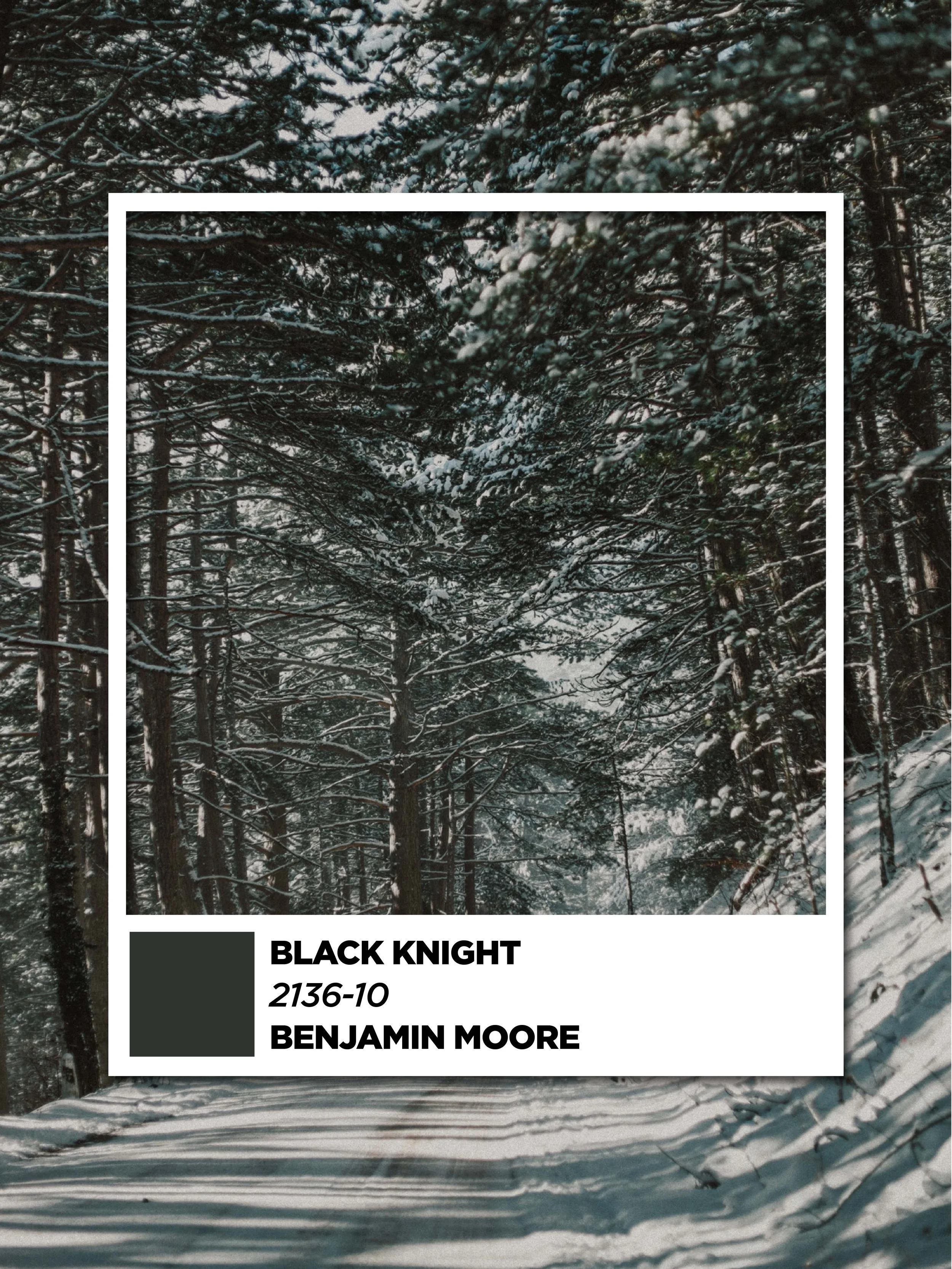 Snow-covered forest scene with tall pine trees and a snow-blanketed path, overlaid with a white border and a text block reading 'Black Knight 2136-10 Benjamin Moore' on the lower left.