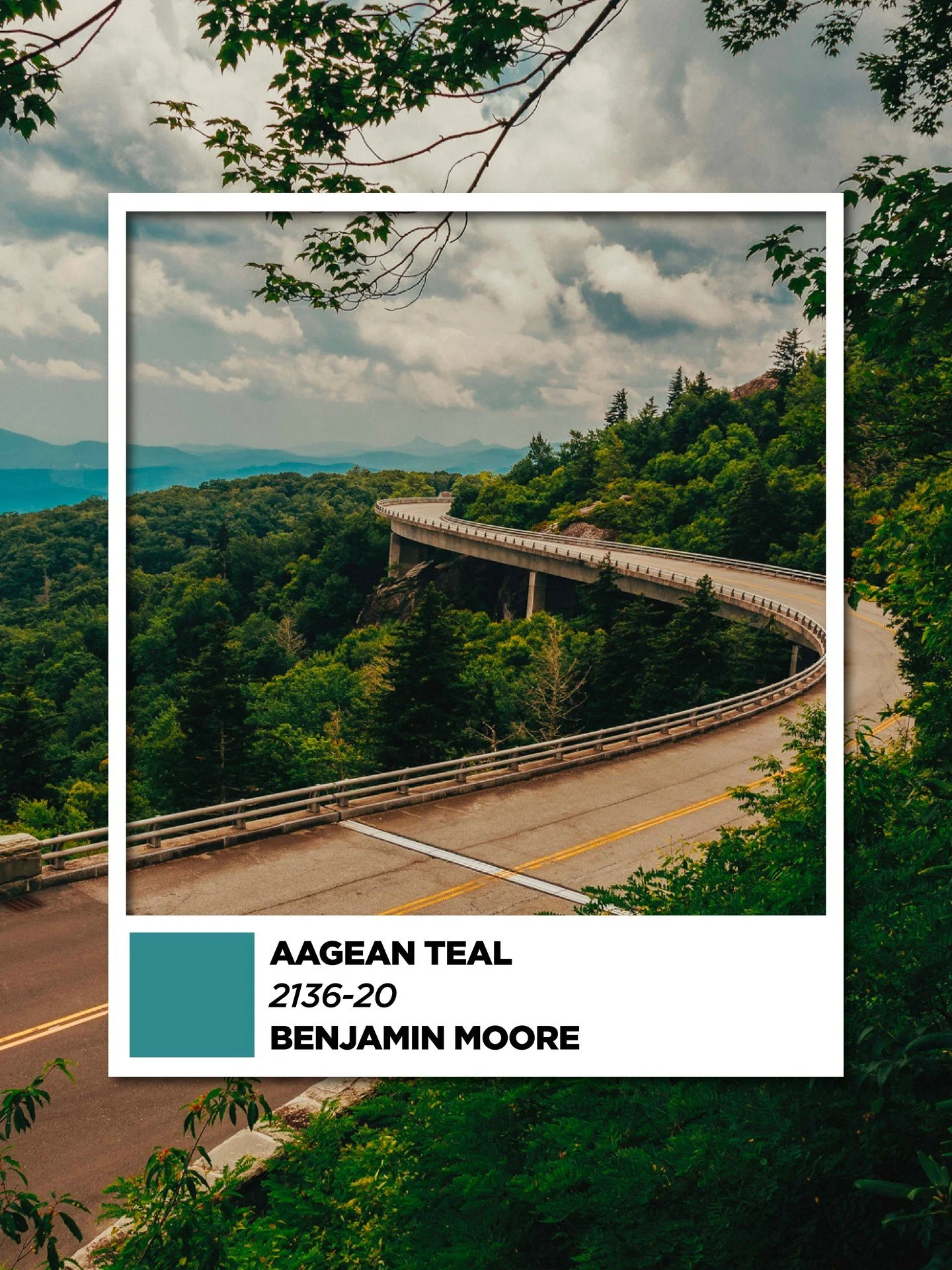 There is no shortage of color inspiration when you live in Western NC. ⛰️🌱

From the blooms along the Blue Ridge Parkway to the deep greens of the mountains, our Benjamin Moore Paint Center can match the colors that make this place so special. Bring