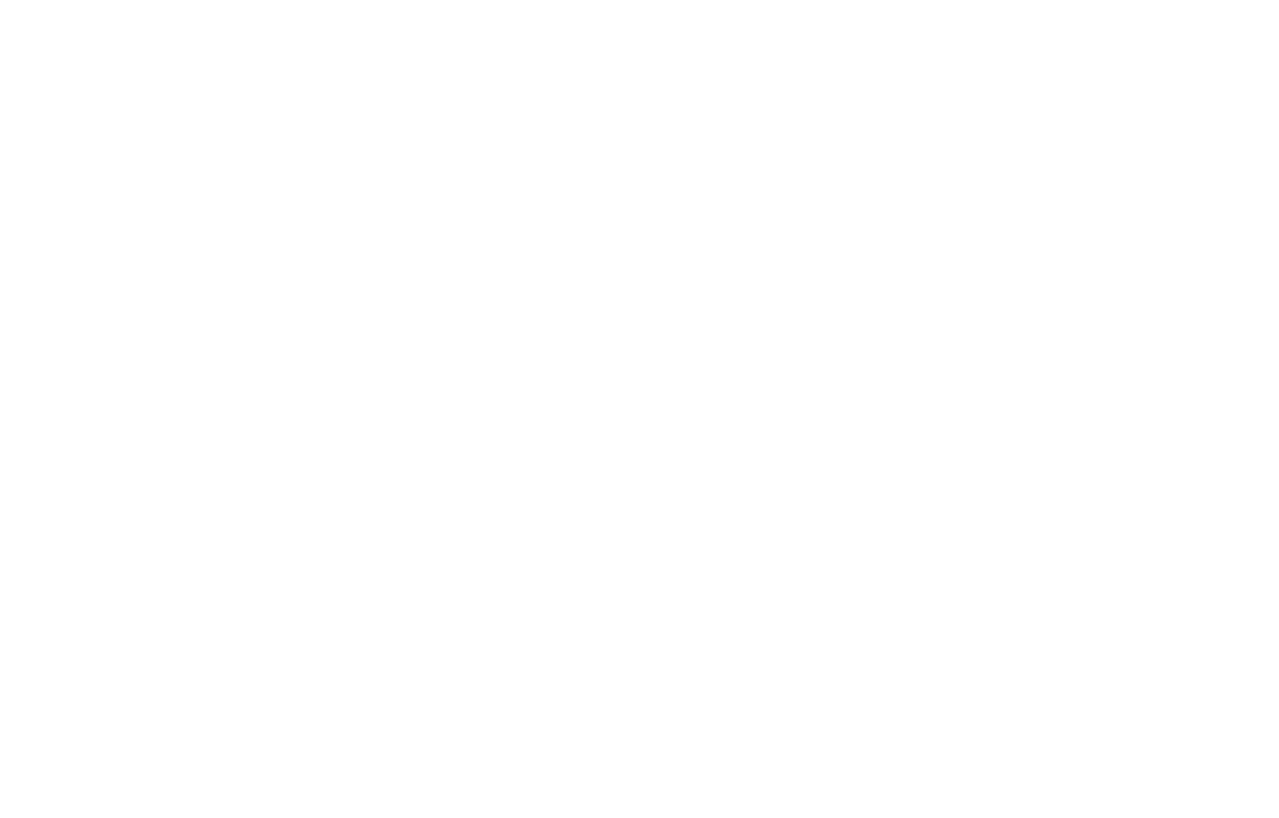 Logo for The Wooster Brush Company in black and white with a stylized brush stroke above the text.