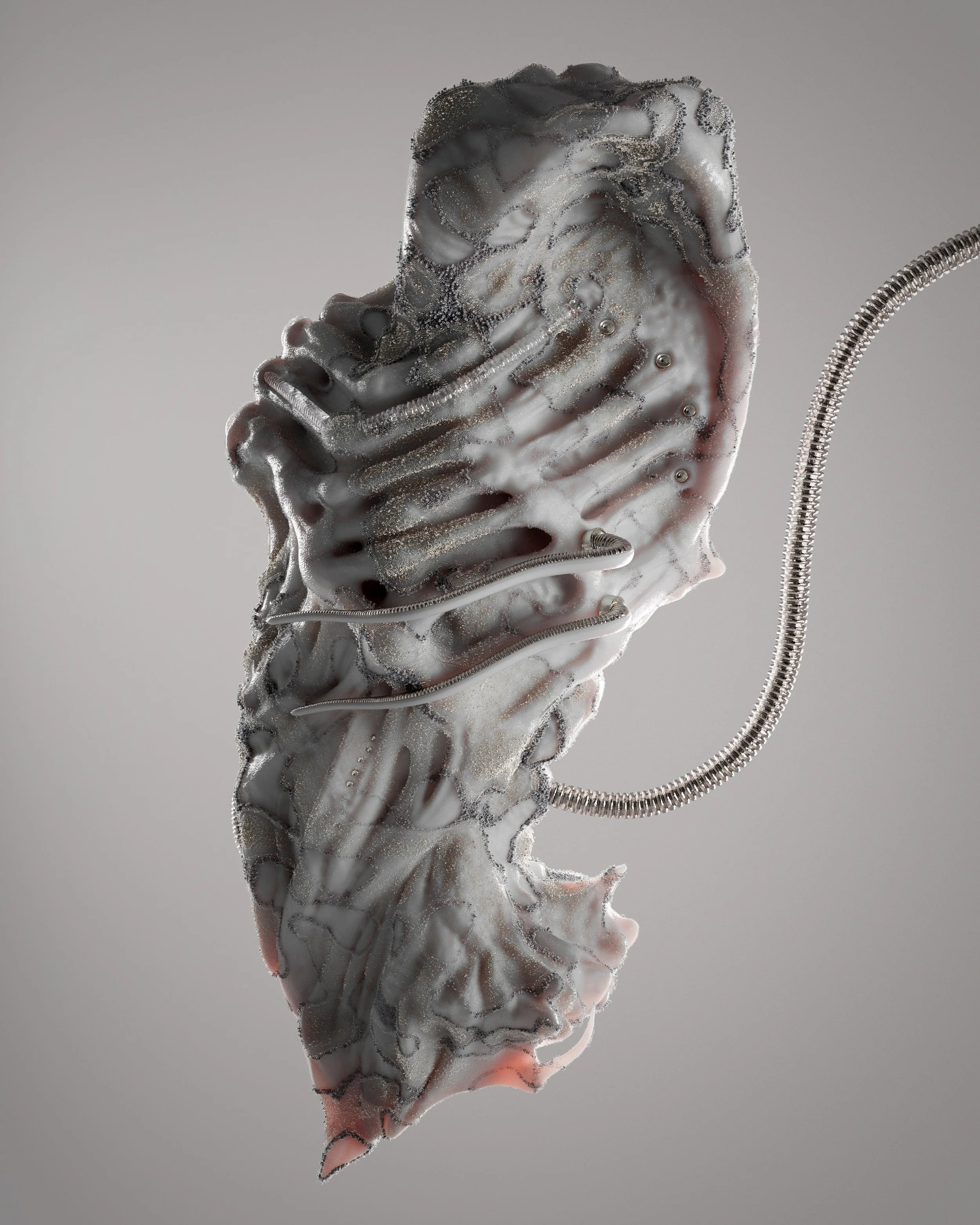 Giusy Amoroso Is Growing New Forms of Life