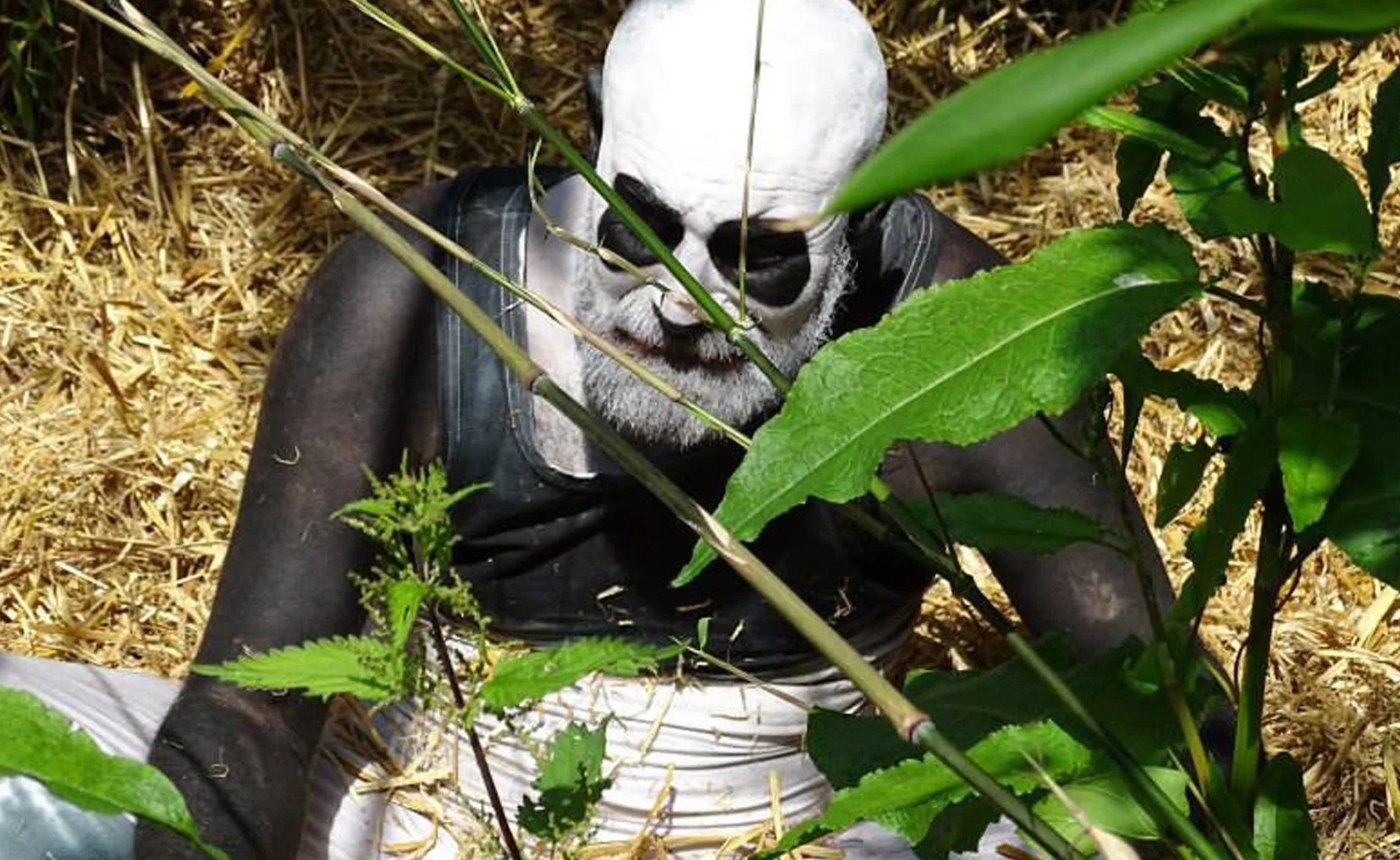 Persoon met panda-schmink die in een bos met groen blad en strooisel zit.