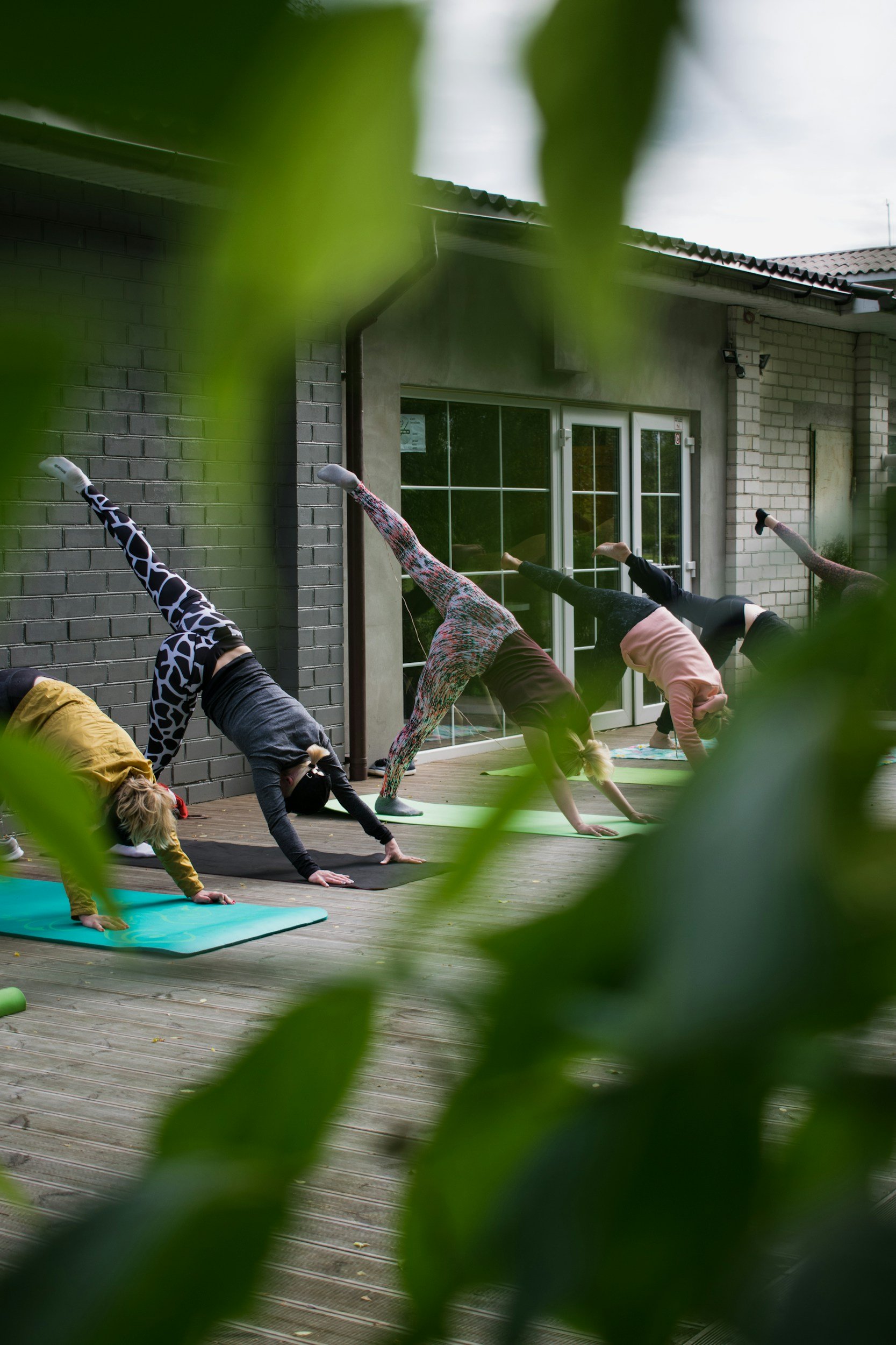 Group of people practicing yoga outdoors on wooden deck, doing downward dog pose, framed by green leaves.