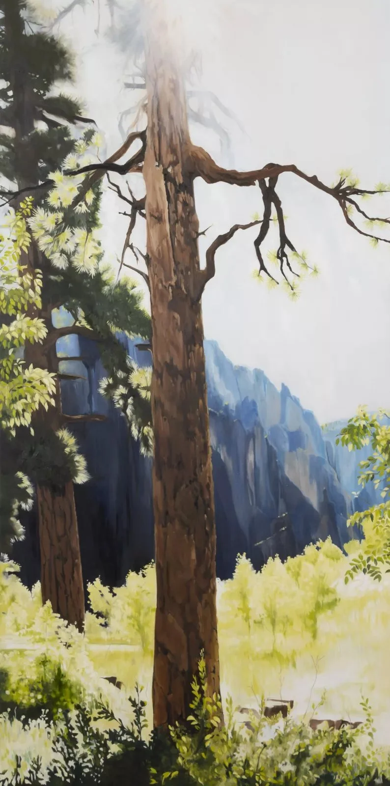 Tree, Oil on Canvas, 48" x 96"  2021