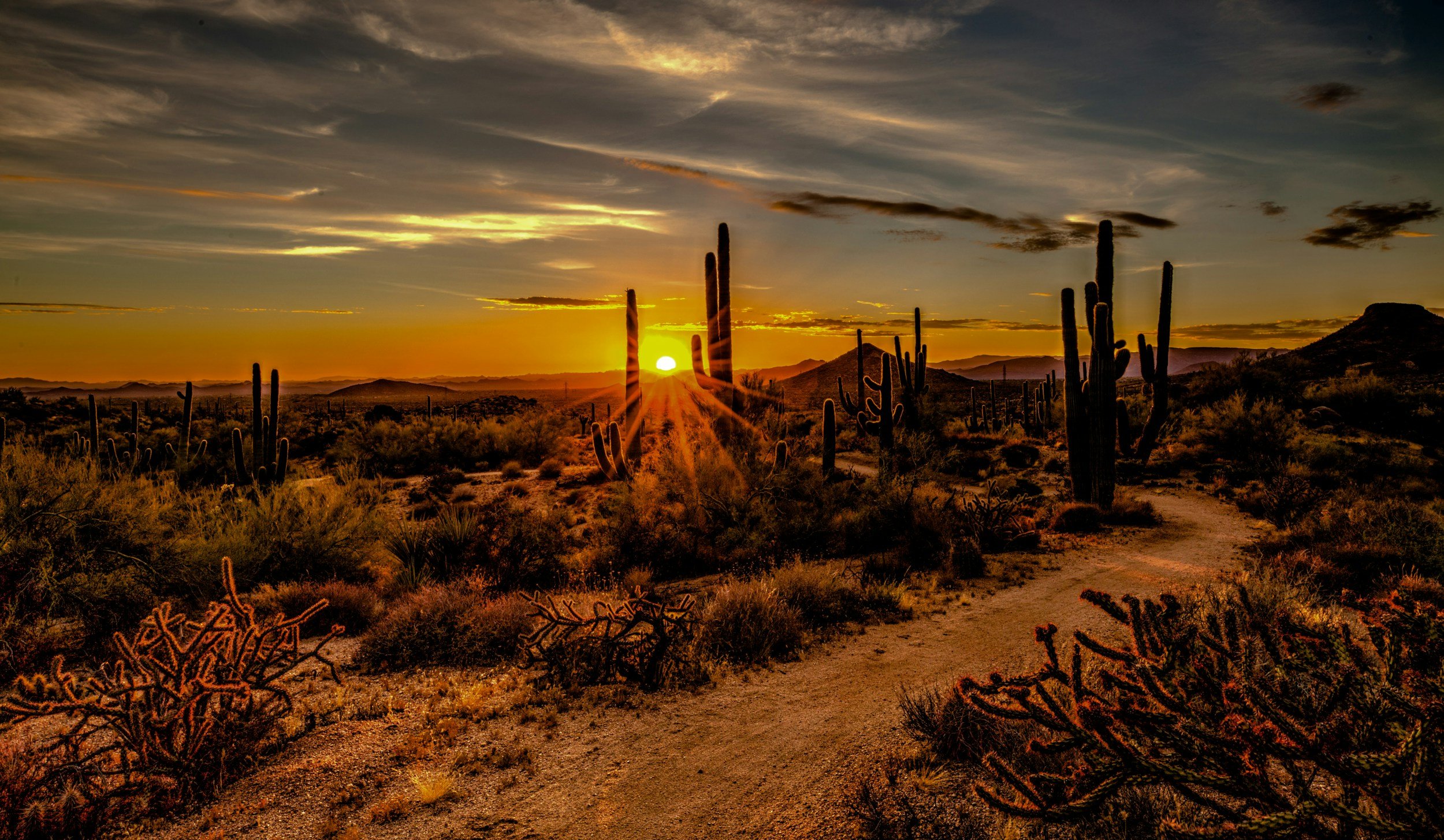 A desert landscape at sunset with tall cacti, shrubs, and a dirt path, mountain ranges in the distance, and a sky filled with clouds and the setting sun.