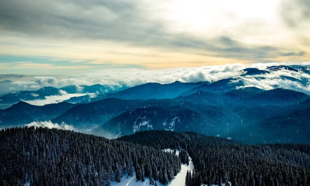 Corporate Sustainability