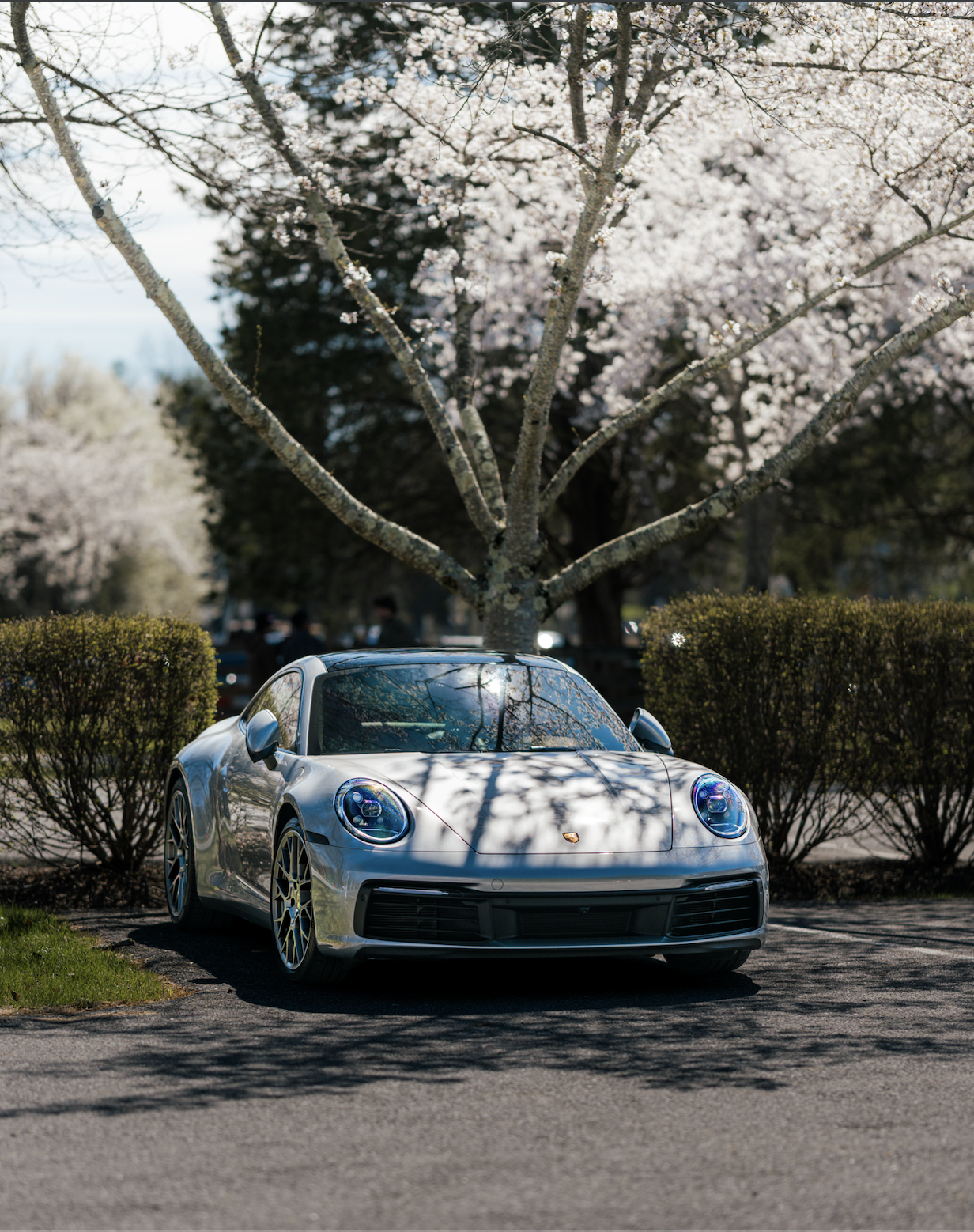 Screenshot 2026-03-31 at 6.31.21 PM.png