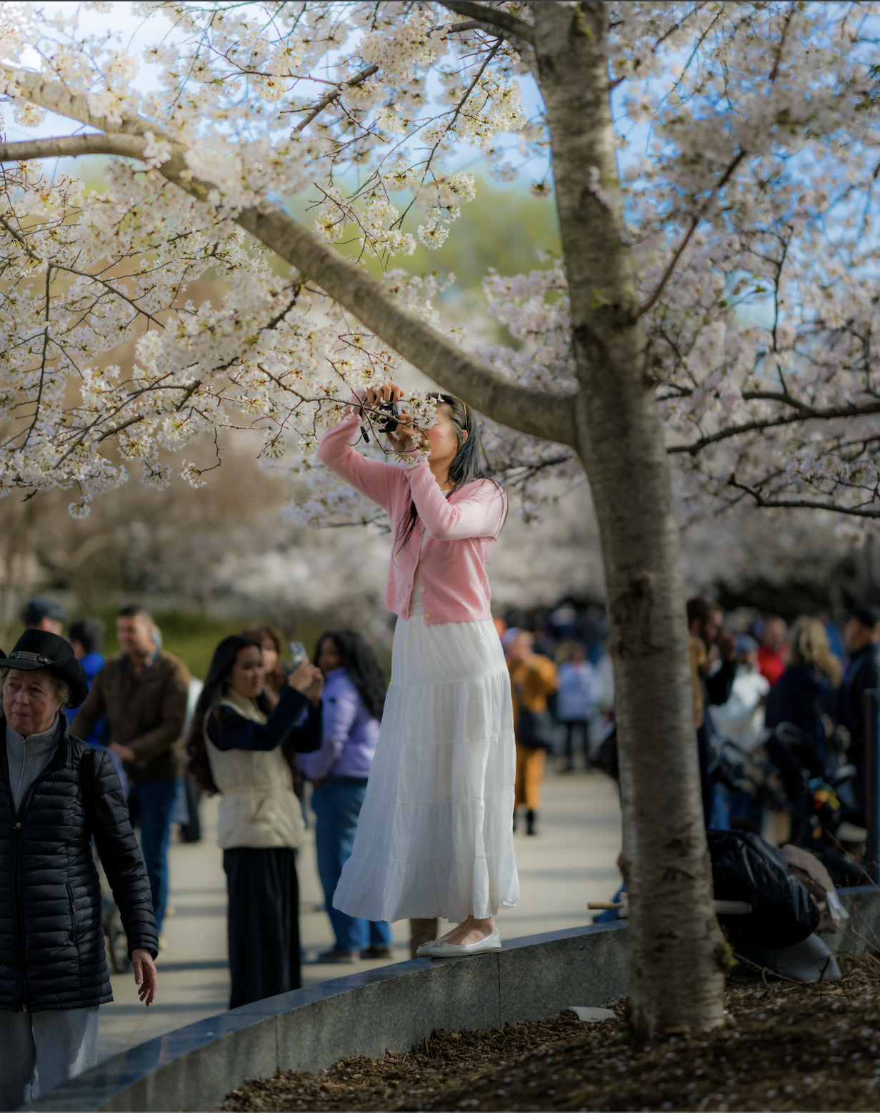 Screenshot 2026-03-31 at 6.26.55 PM.png