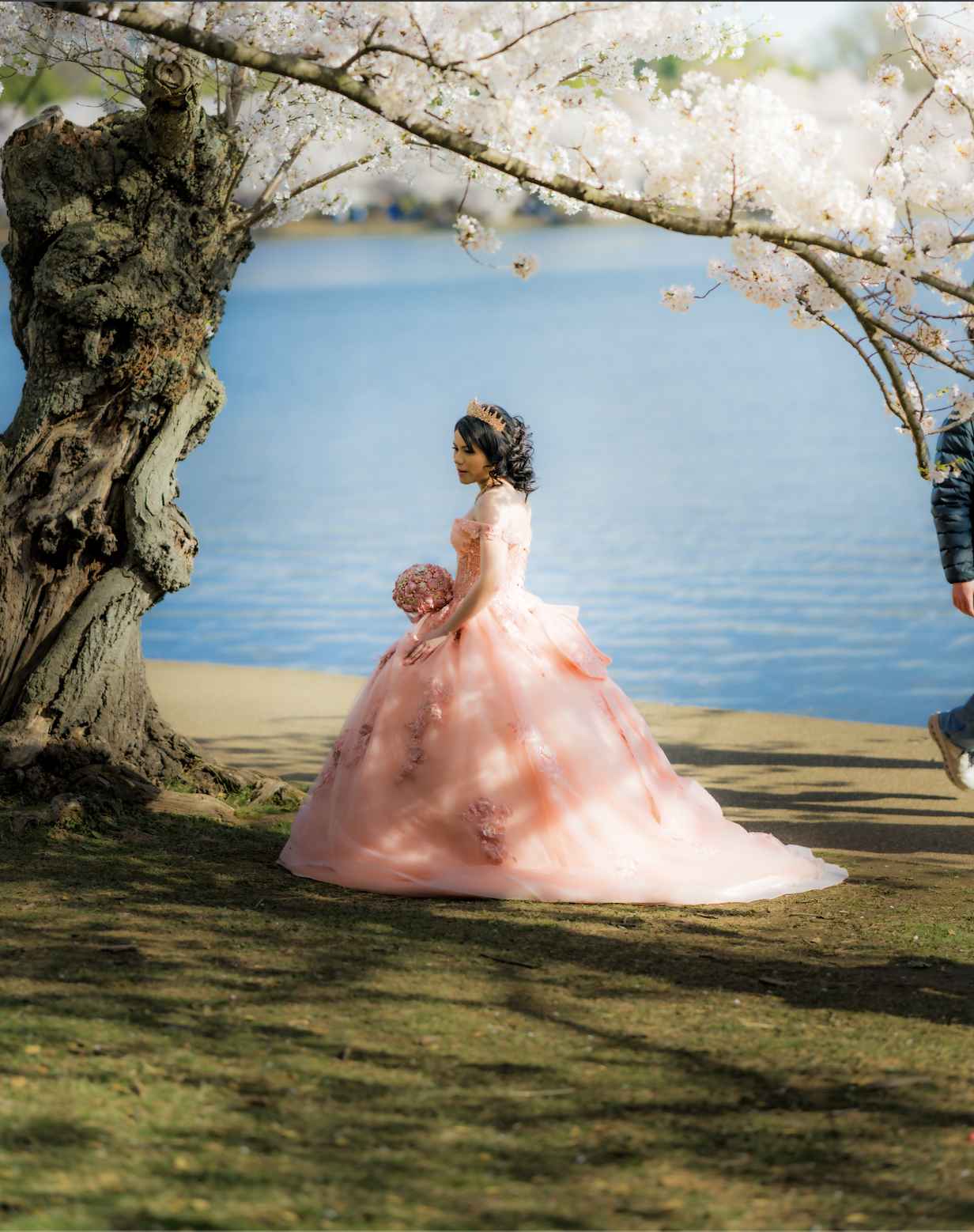 Screenshot 2026-03-31 at 6.26.45 PM.png