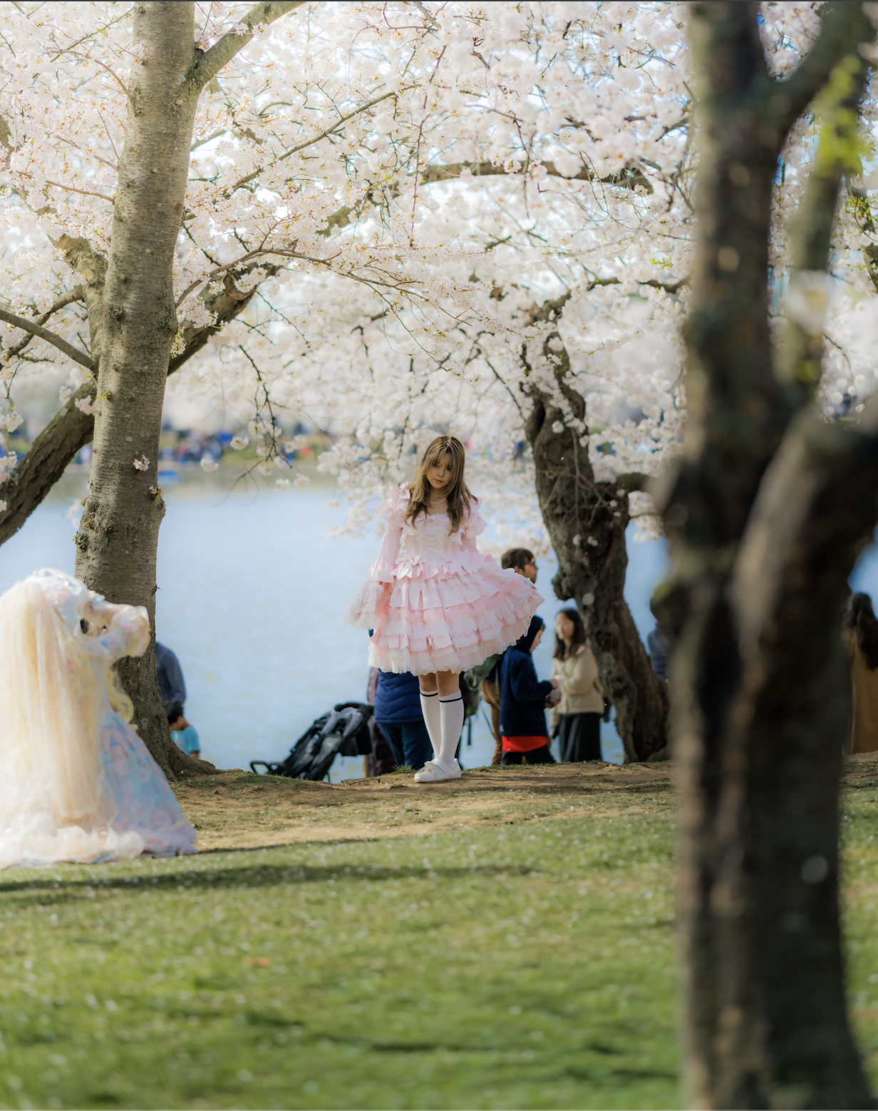 Screenshot 2026-03-31 at 6.27.25 PM.png