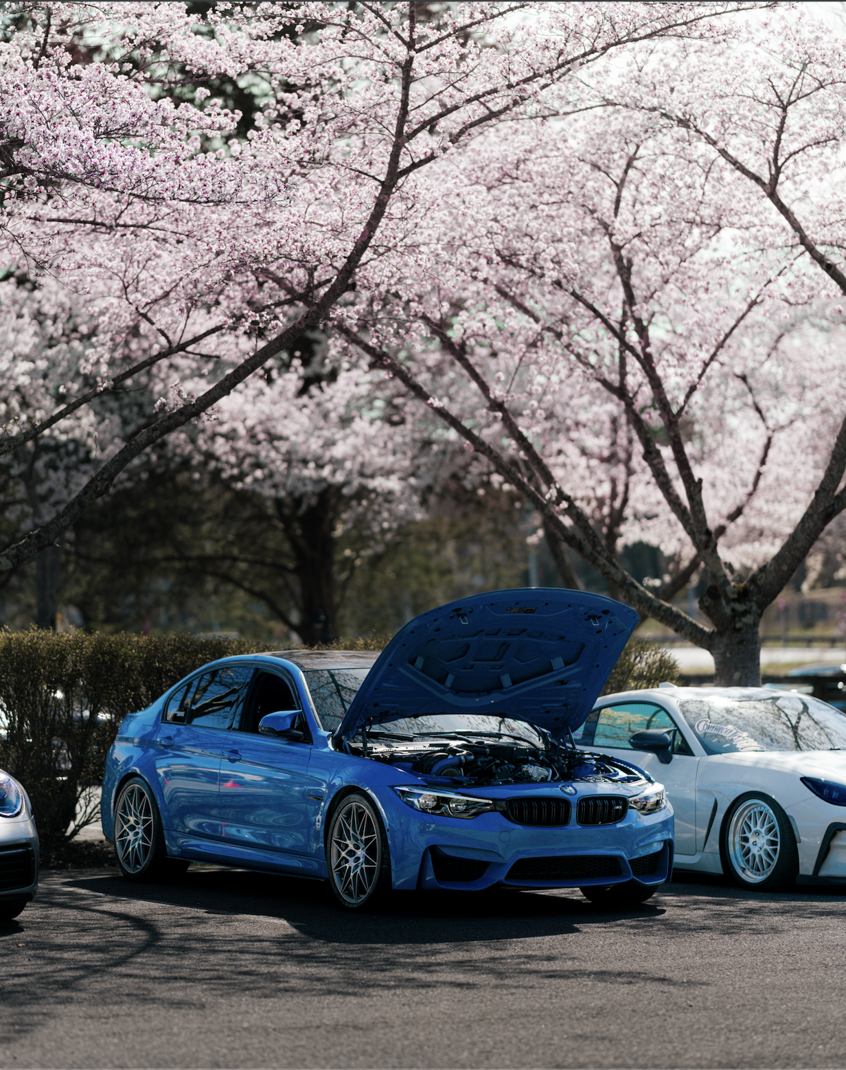 Screenshot 2026-03-31 at 6.33.39 PM.png