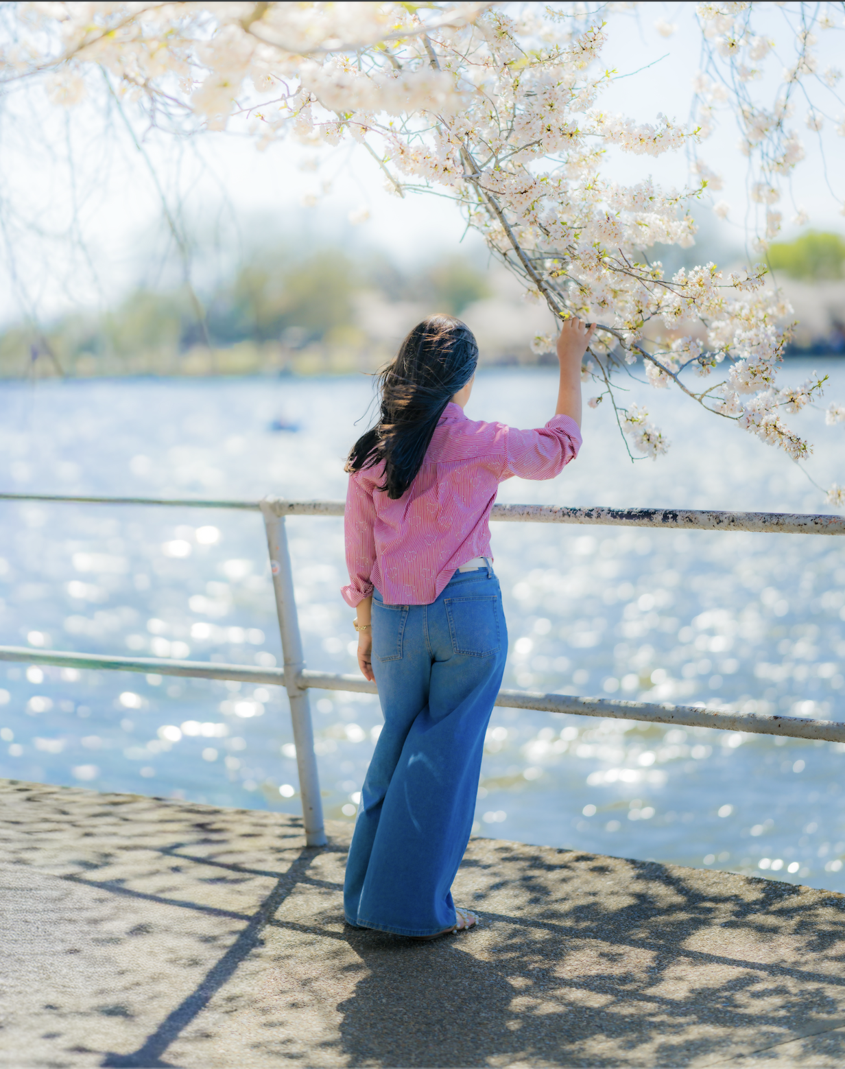 Screenshot 2026-03-31 at 6.27.49 PM.png