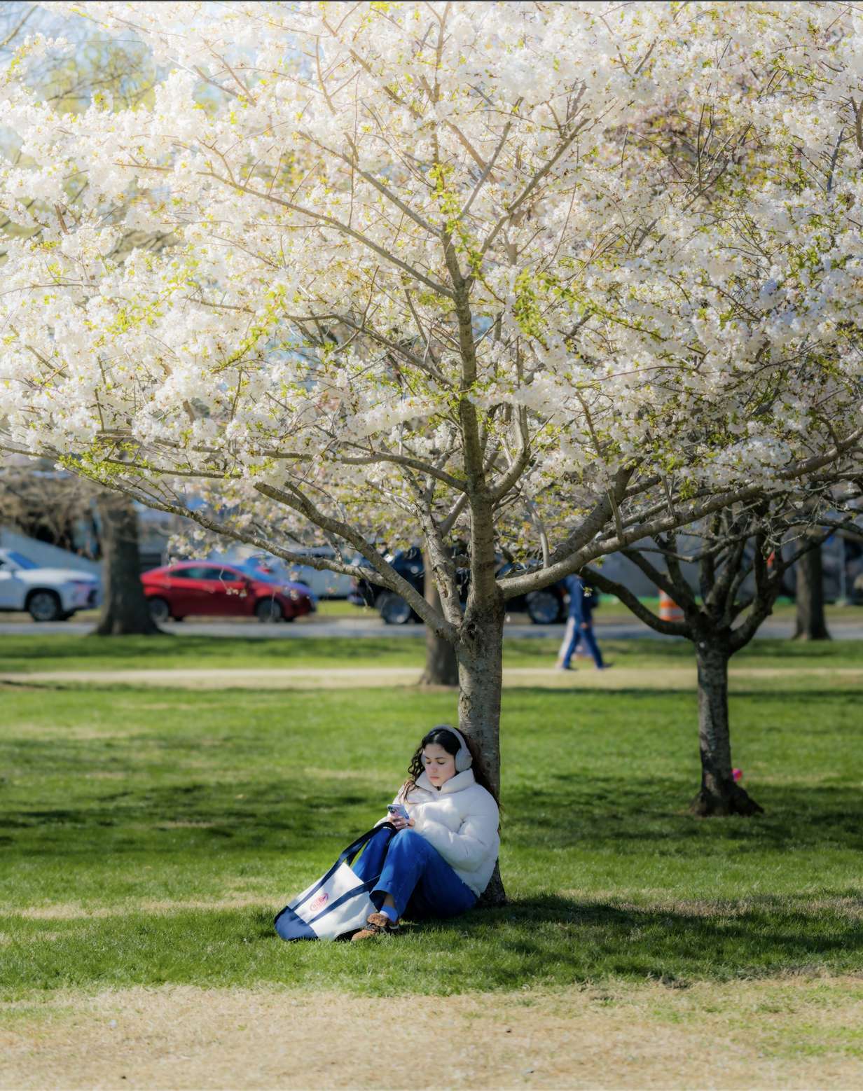 Screenshot 2026-03-31 at 6.27.33 PM.png