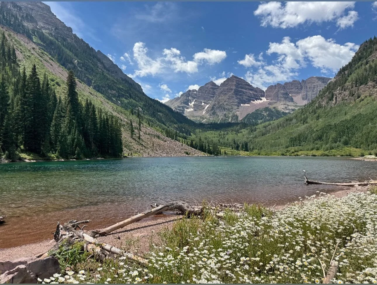 A scenic mountain lake with clear water, surrounded by lush green pine trees, with towering mountains in the background under a partly cloudy sky. There are white wildflowers and fallen logs along the shore.