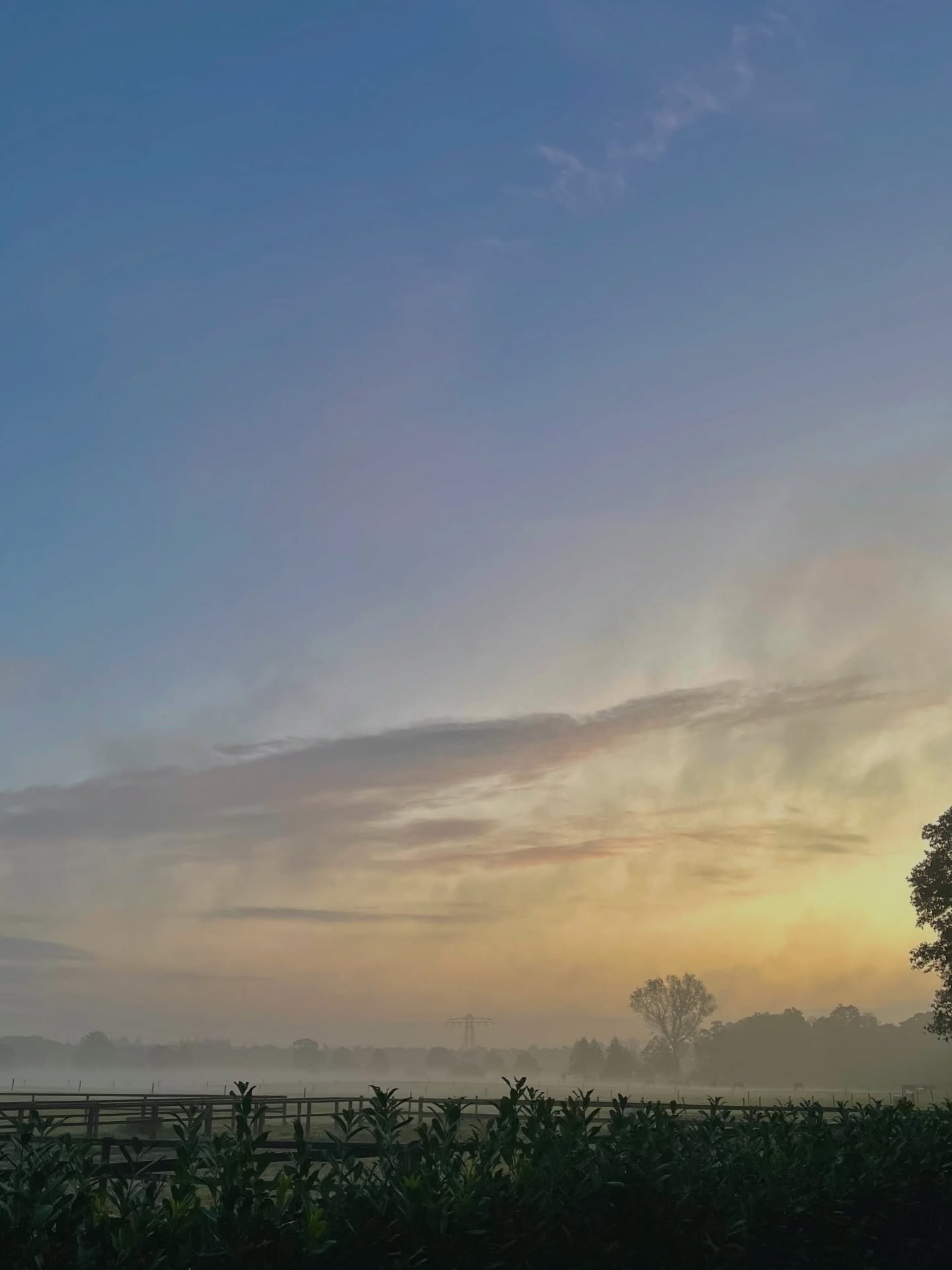 Some moments 🌸💭🤎