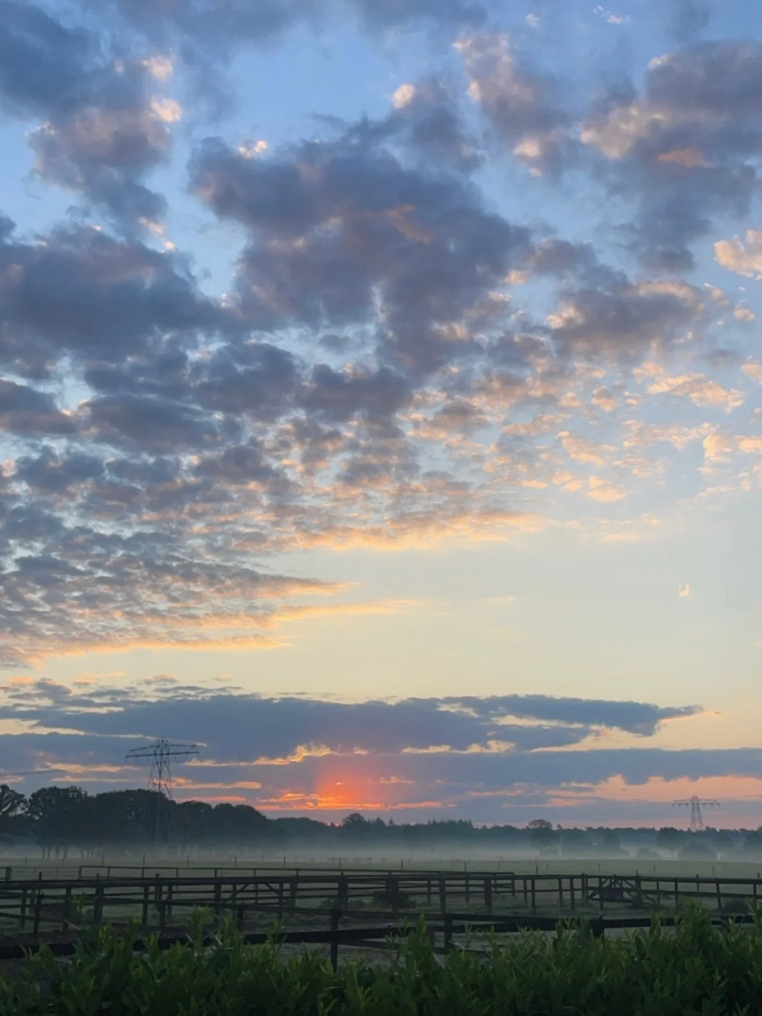 Vanmorgen liep ik naar buiten en hoorde ik alleen de vogels.
Geen meldingen.
Geen haast.
Geen lijstje in mijn hoofd dat direct af moest.

Gewoon even dat moment.

Vroeger dacht ik dat ik sterker moest worden.
Dat ik beter tegen drukte moest kunnen.
N