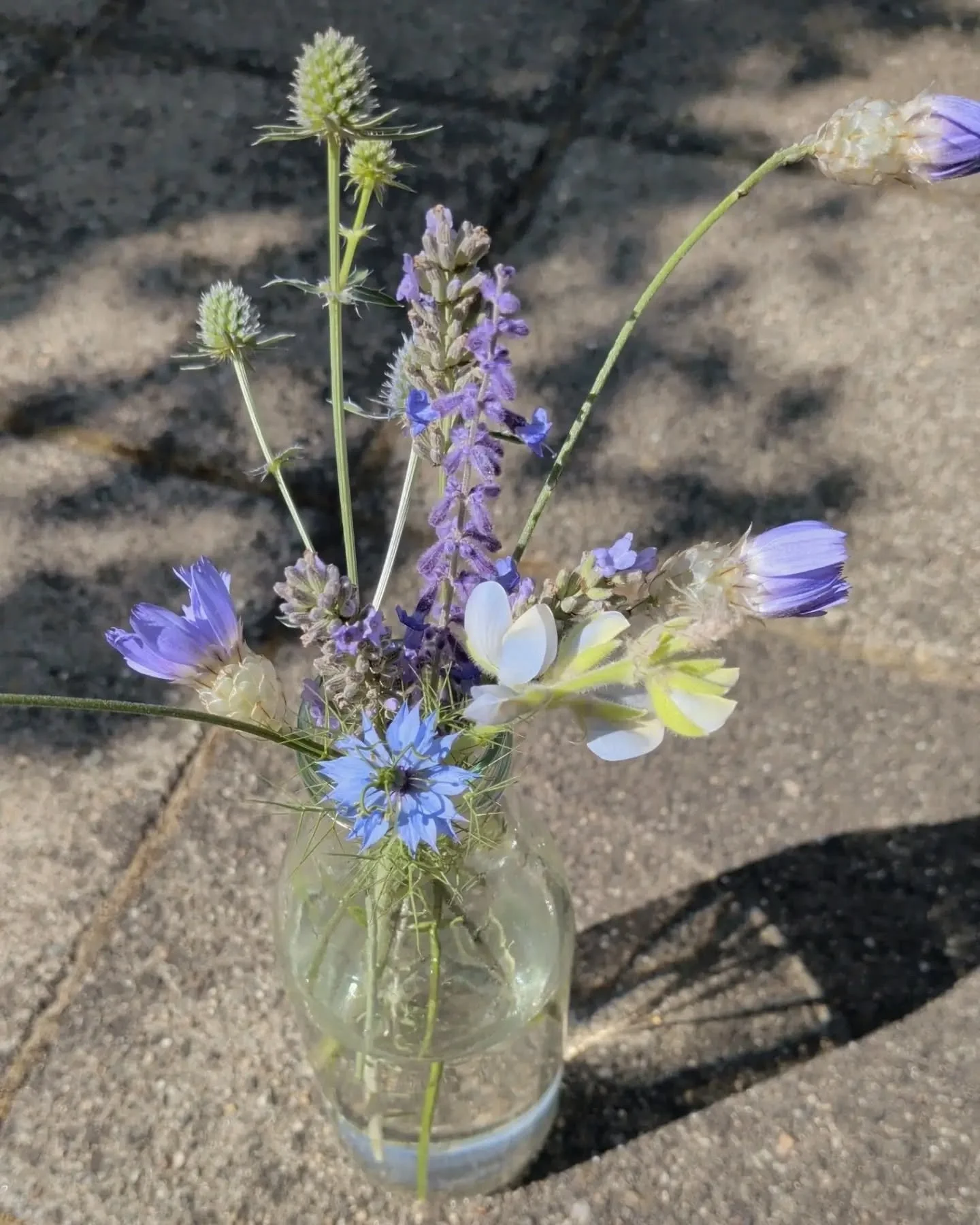 Klein boeketje uit eigen tuin. 🌿💜
Zo simpel, maar z&oacute; leuk.

- #slowliving #wildflowers