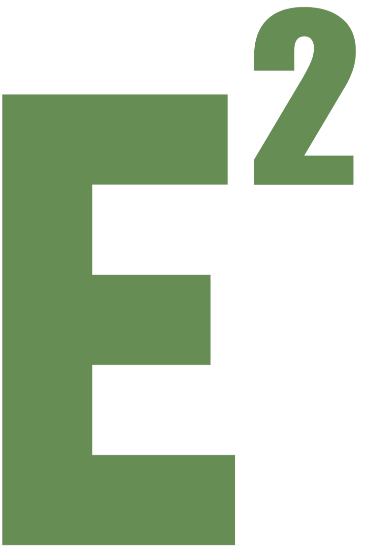 E2 Management Consulting