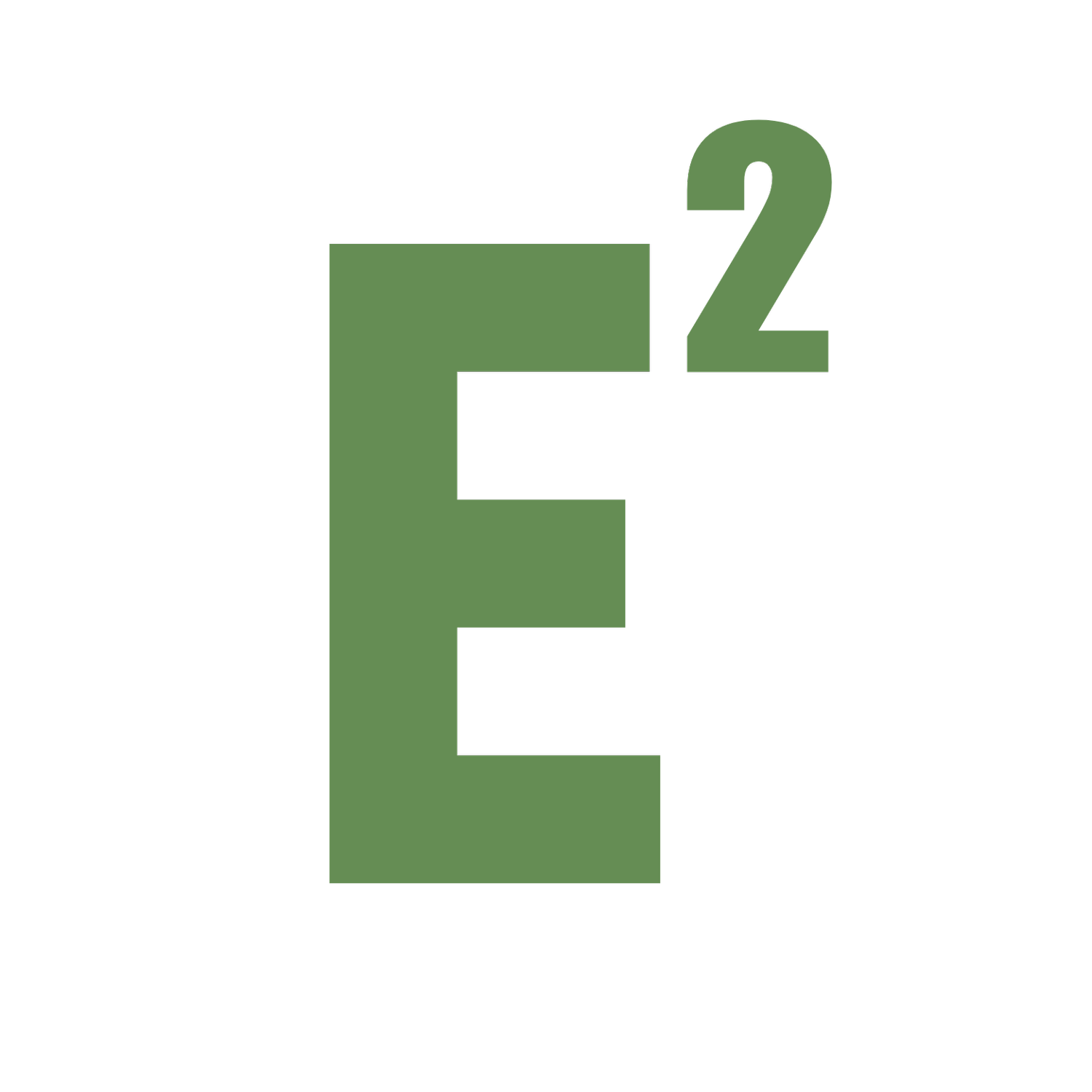 E2 Management Consulting
