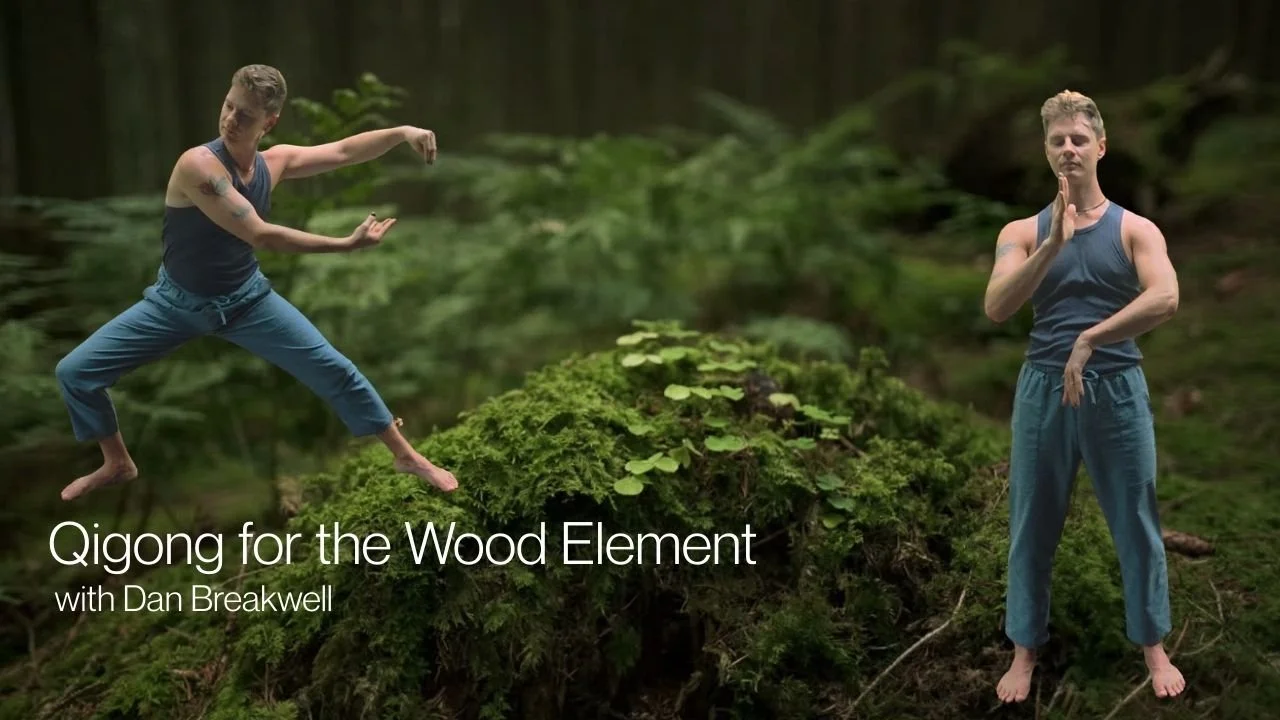 Qigong Wood.jpg
