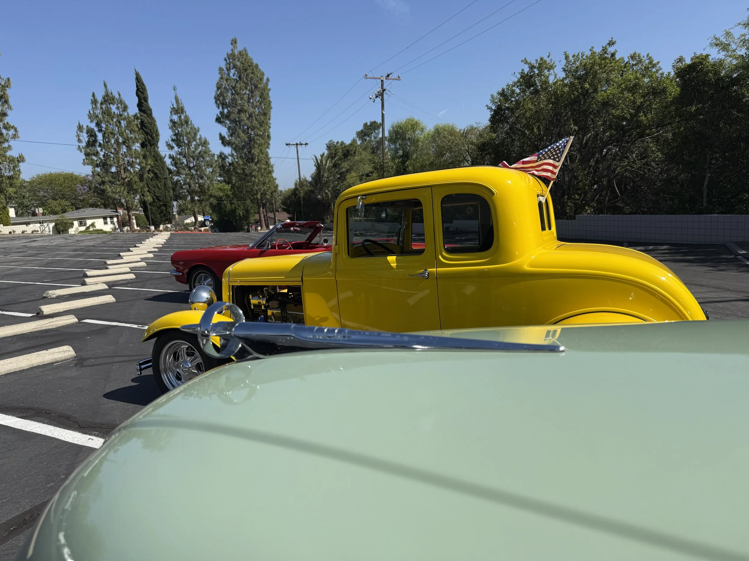 IMG_5962.JPG
