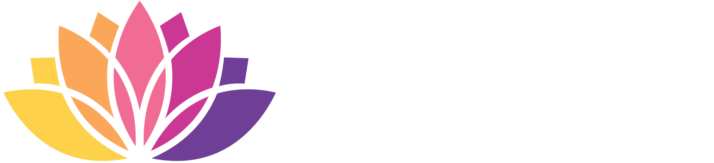 CCP_FullLogo-White - Connie Castelan.png
