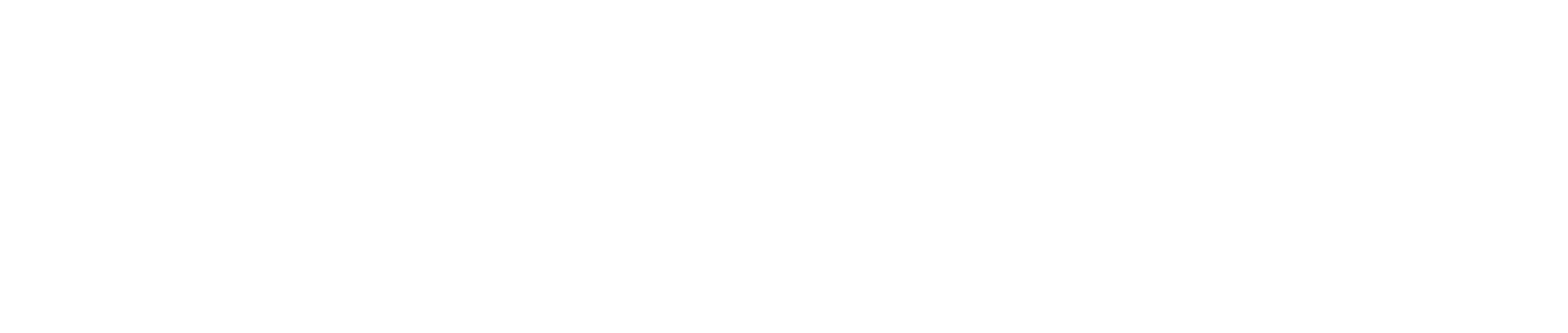Film Festival Alliance_Secondary Logo 3WHT - Gray Rodriguez.png