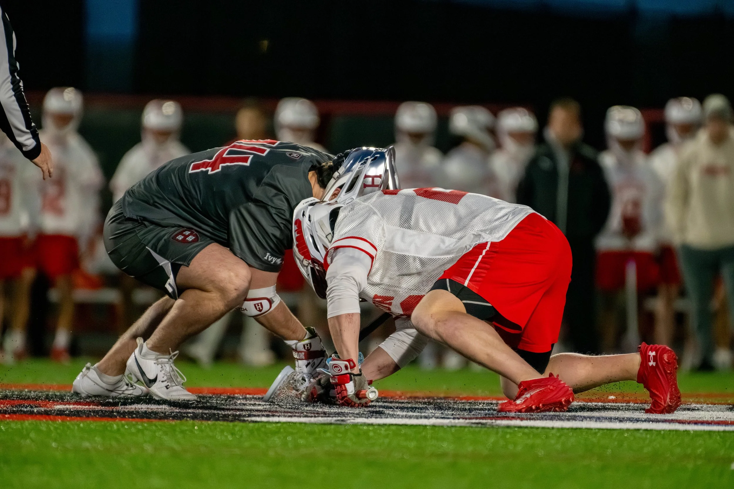 MLAX_website.jpg