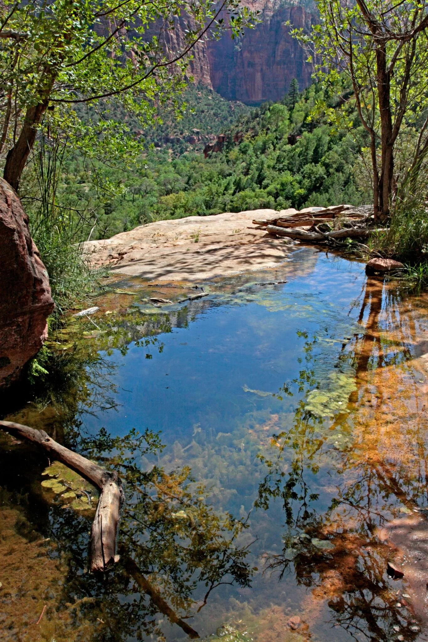 Shaded hiking trail at Emerald Pools in Zion National Park Utah