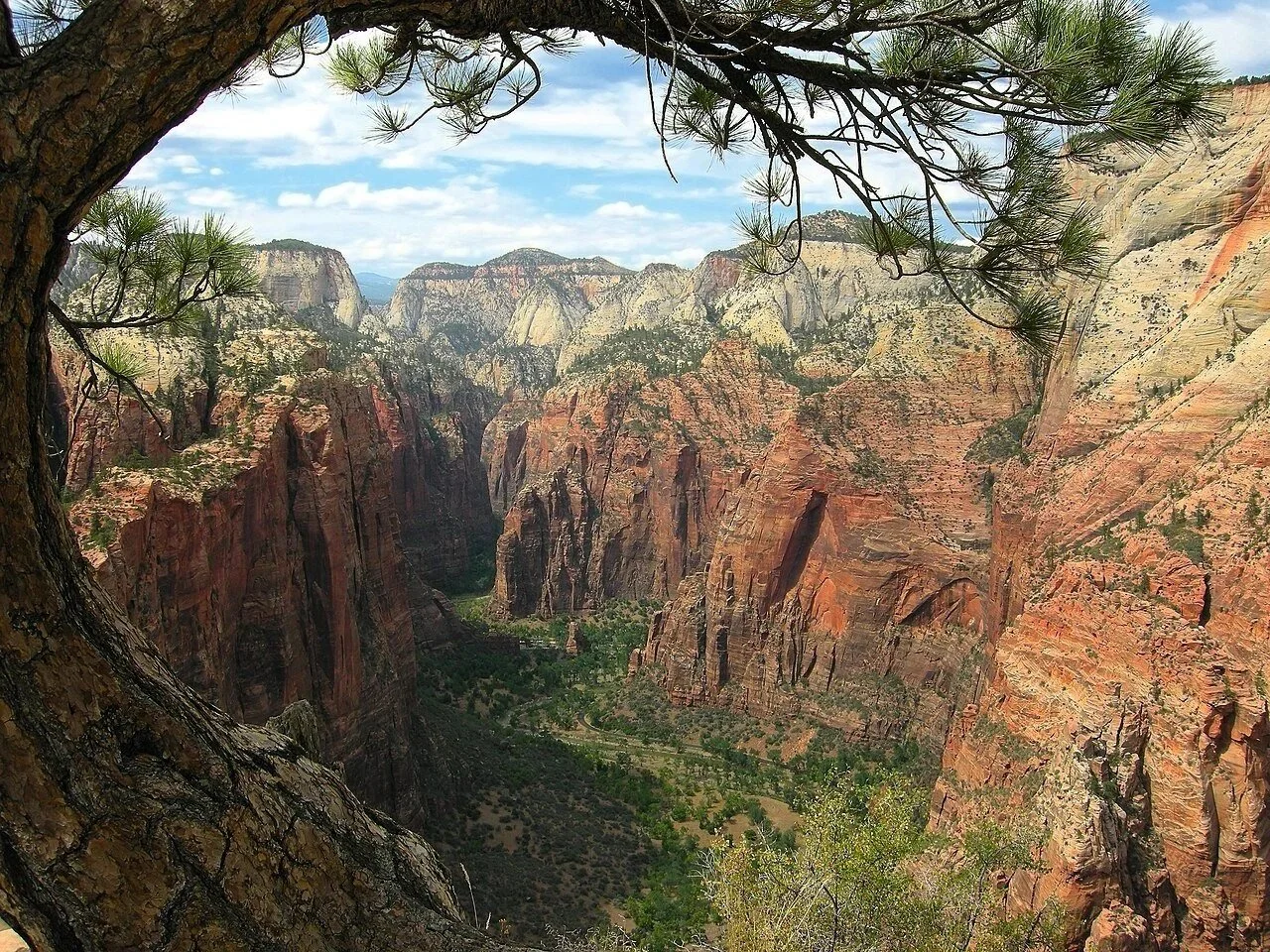 Getting to Canyon Overlook Trail (and Why a Rental Car Helps)