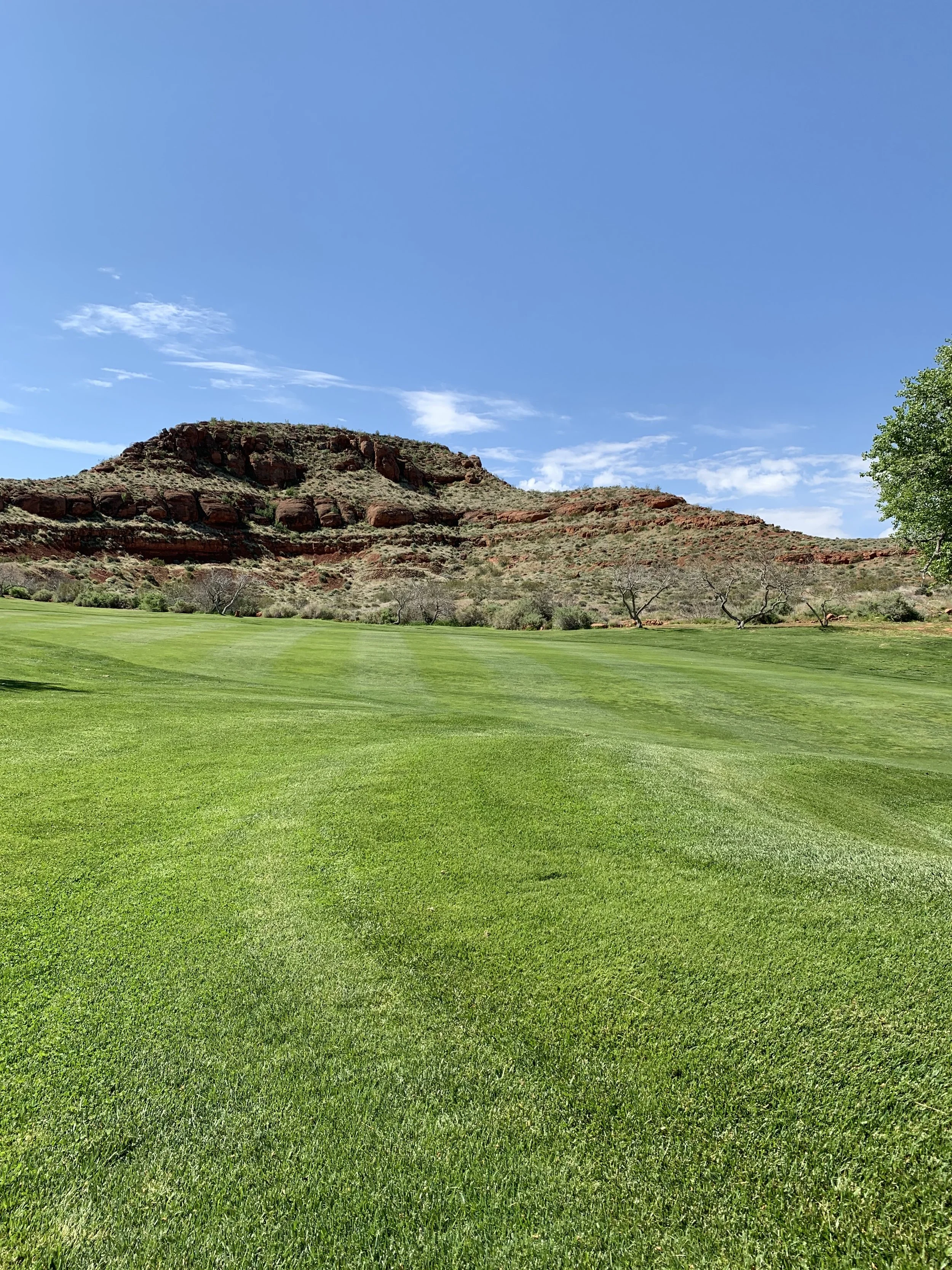 Car rental in Washington Utah near St George and Zion