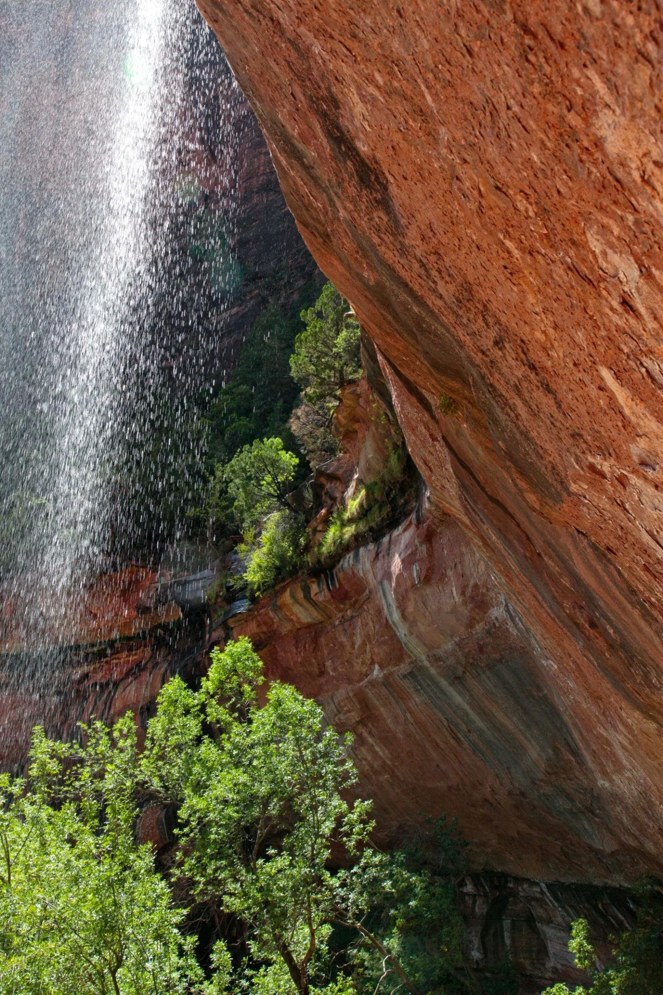 Hikers walking behind a waterfall at Emerald Pools Zion National Park